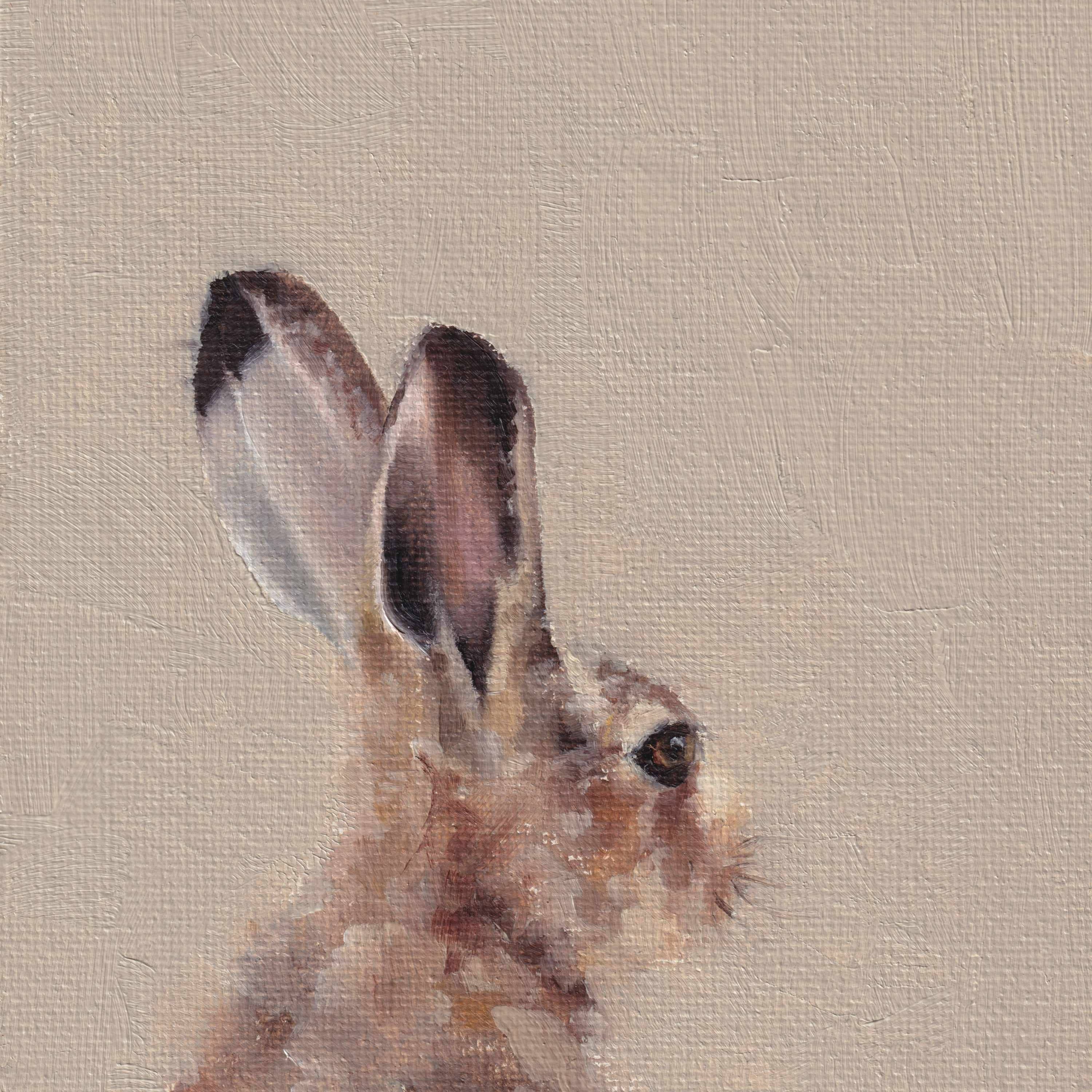 Animal Card