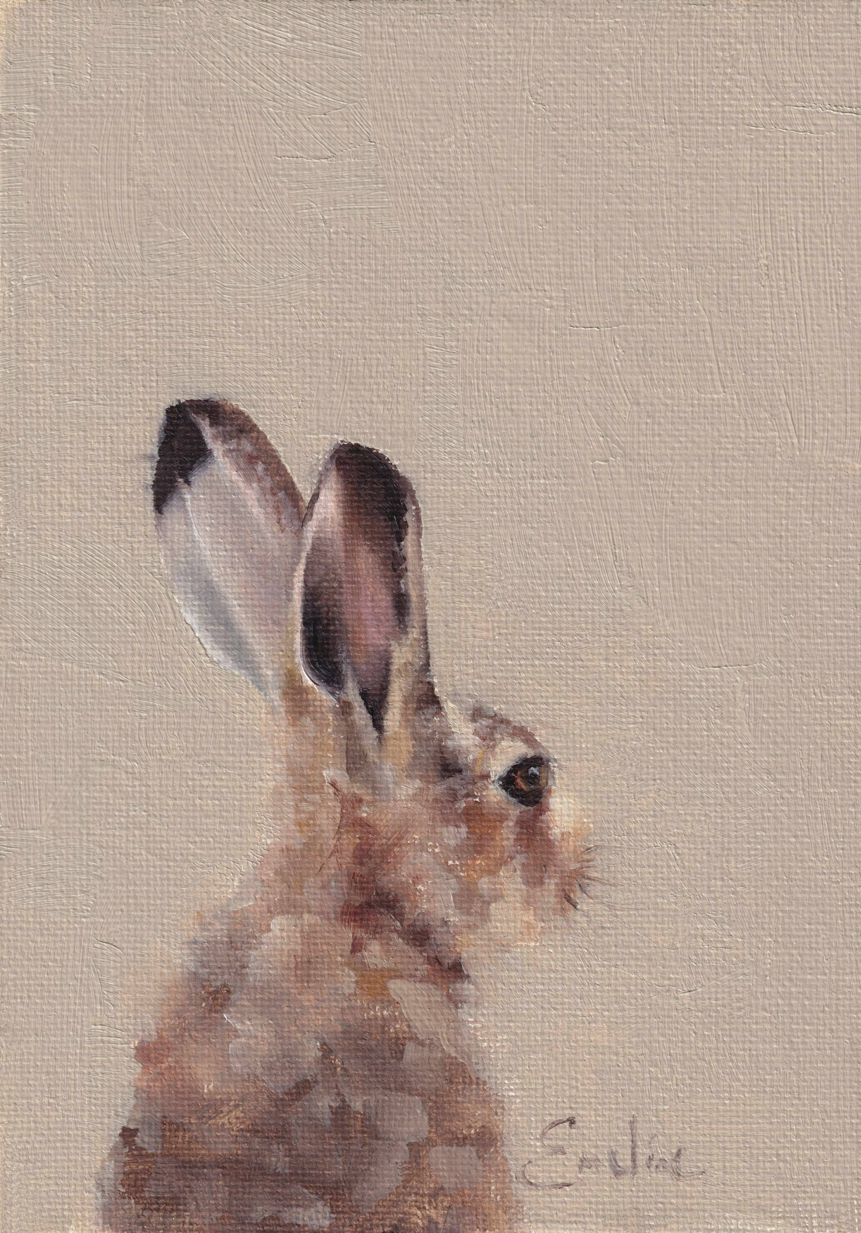 Animal Card
