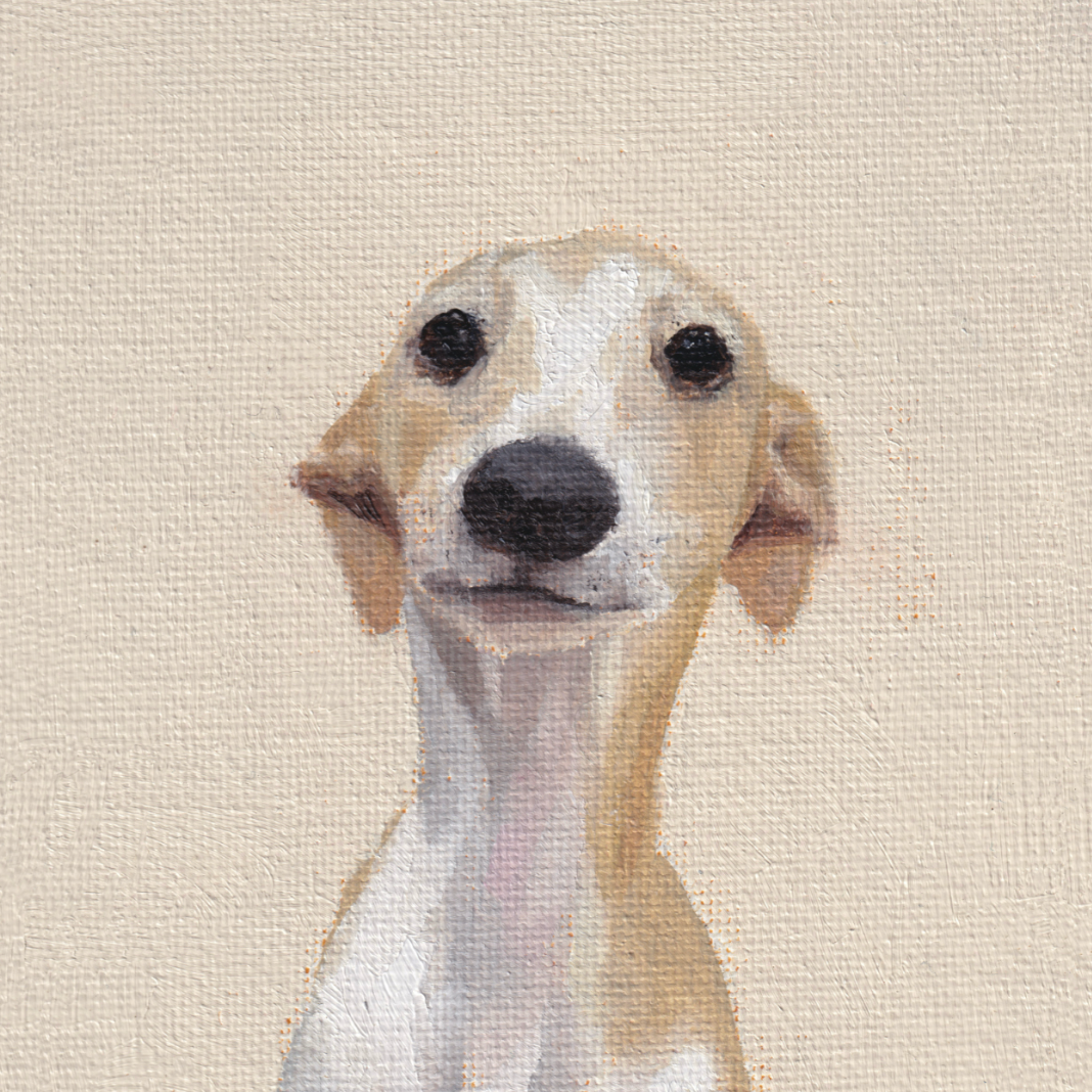 dog card
