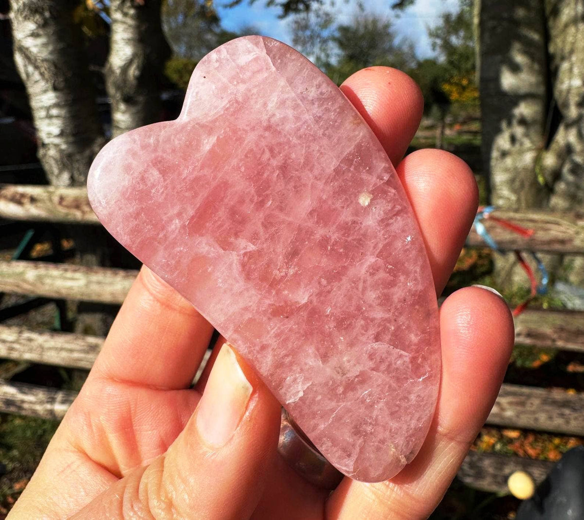 Hand holding a pink crystal tool with a natural outdoor background