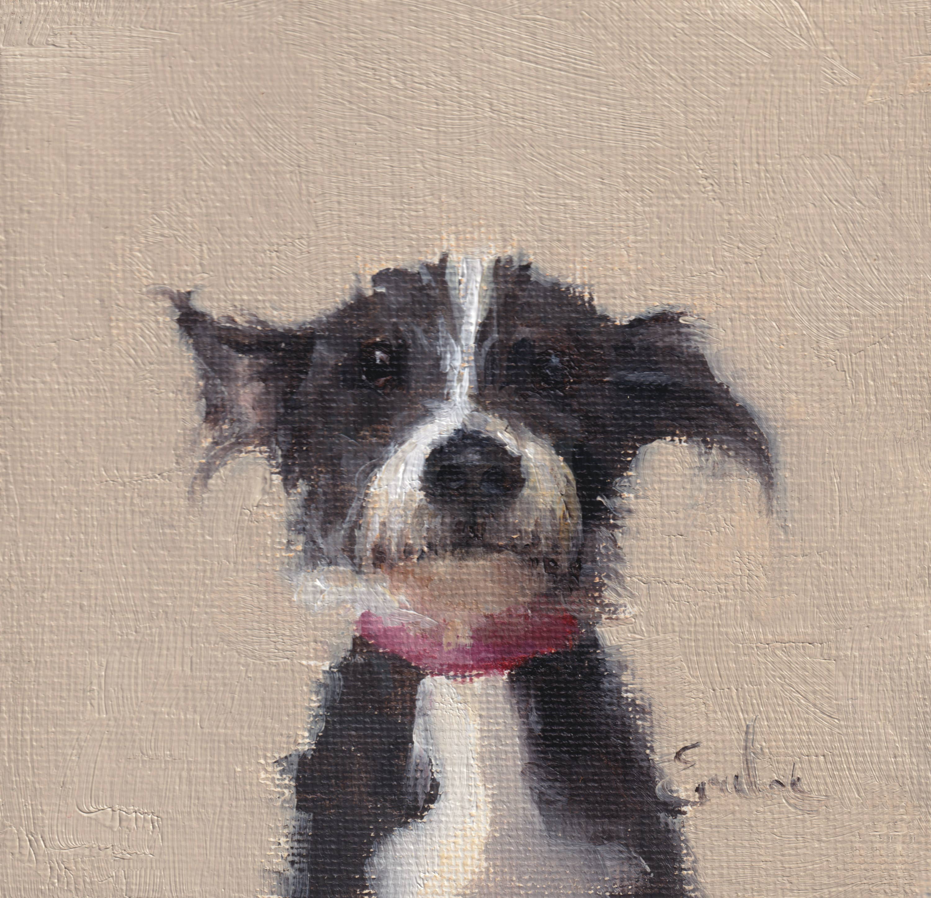 Scruffy Puppy Greetings Card 4 x 4 by Emeline Watchorn