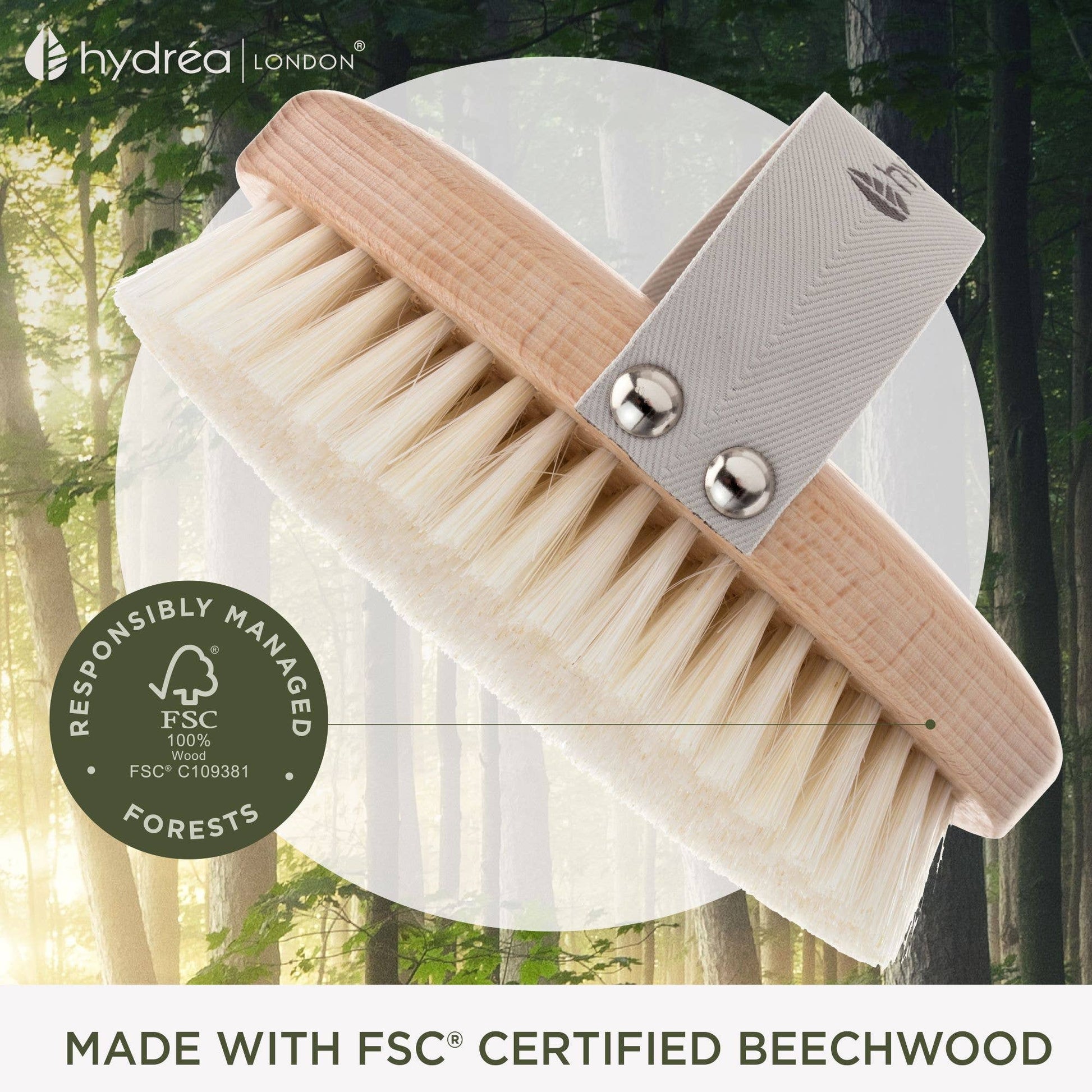 Body Brush Natural Bristle FSC Beechwood Wet & Dry - UK Made