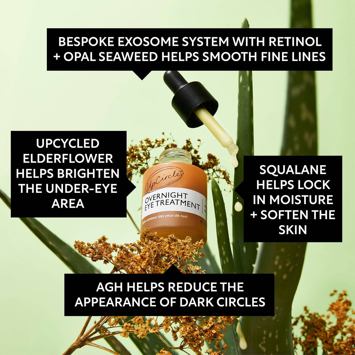 Vegan Overnight Eye Treatment with Retinol & Seaweed 18ml - UpCircle