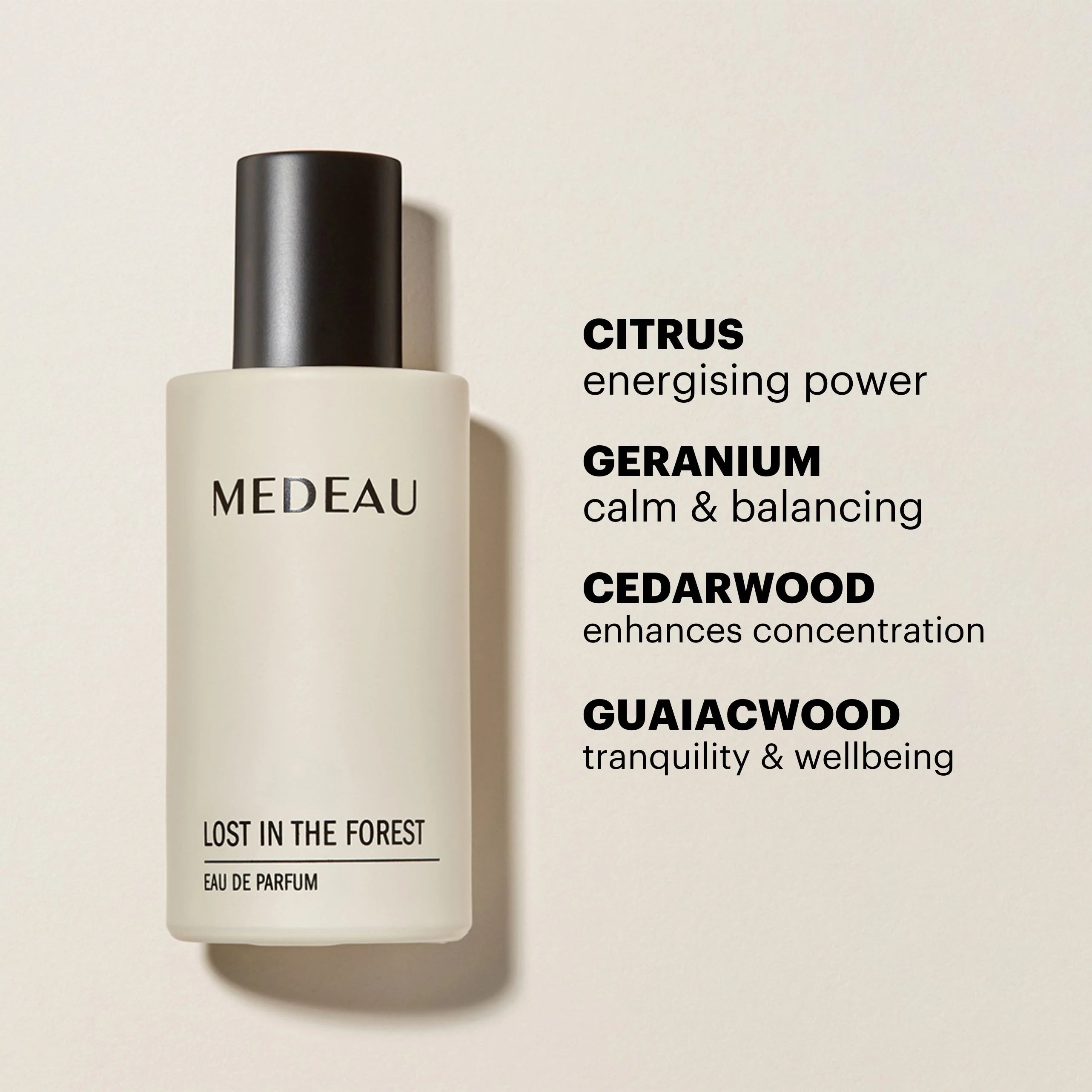 Lost In The Forest Eau de Parfum 50ml by Medeau