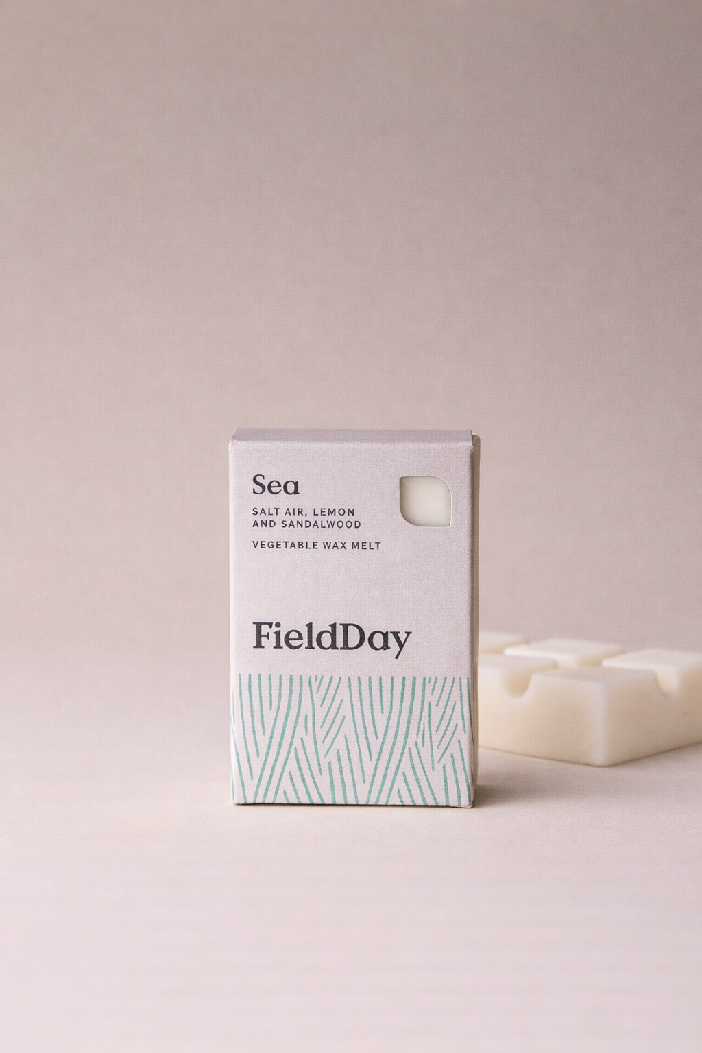Classic Sea Wax Melt Bar – Field Day Salt Air, Lemon & Sandalwood