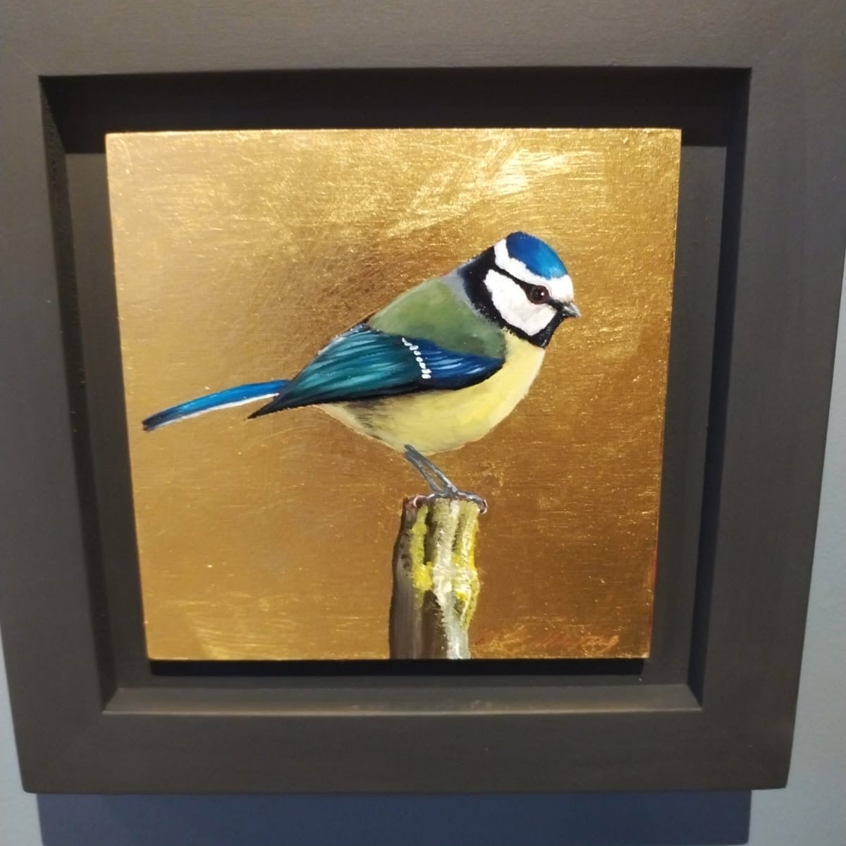 Blue Tit    - BM 02 / 12