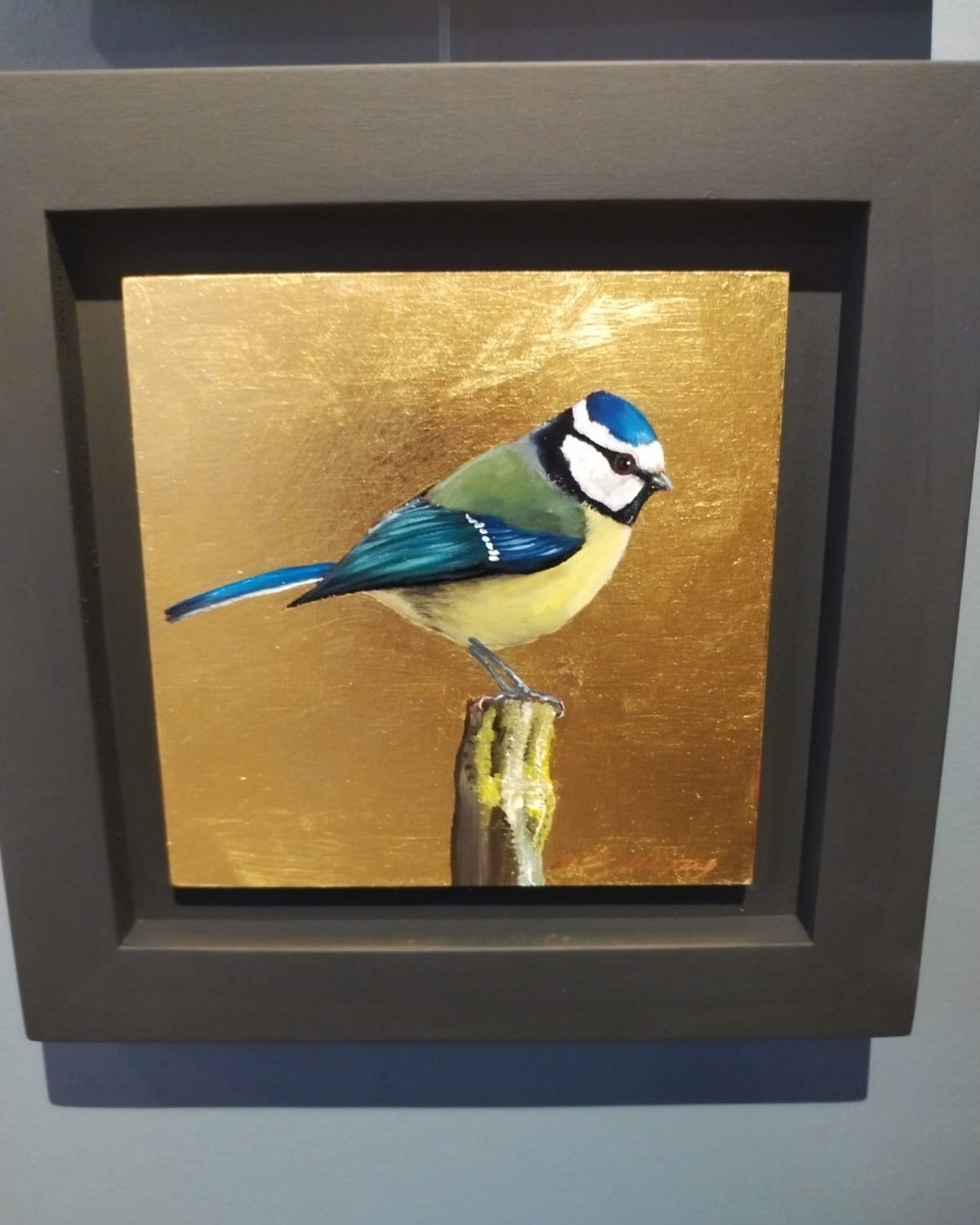 Blue Tit    - BM 02 / 12