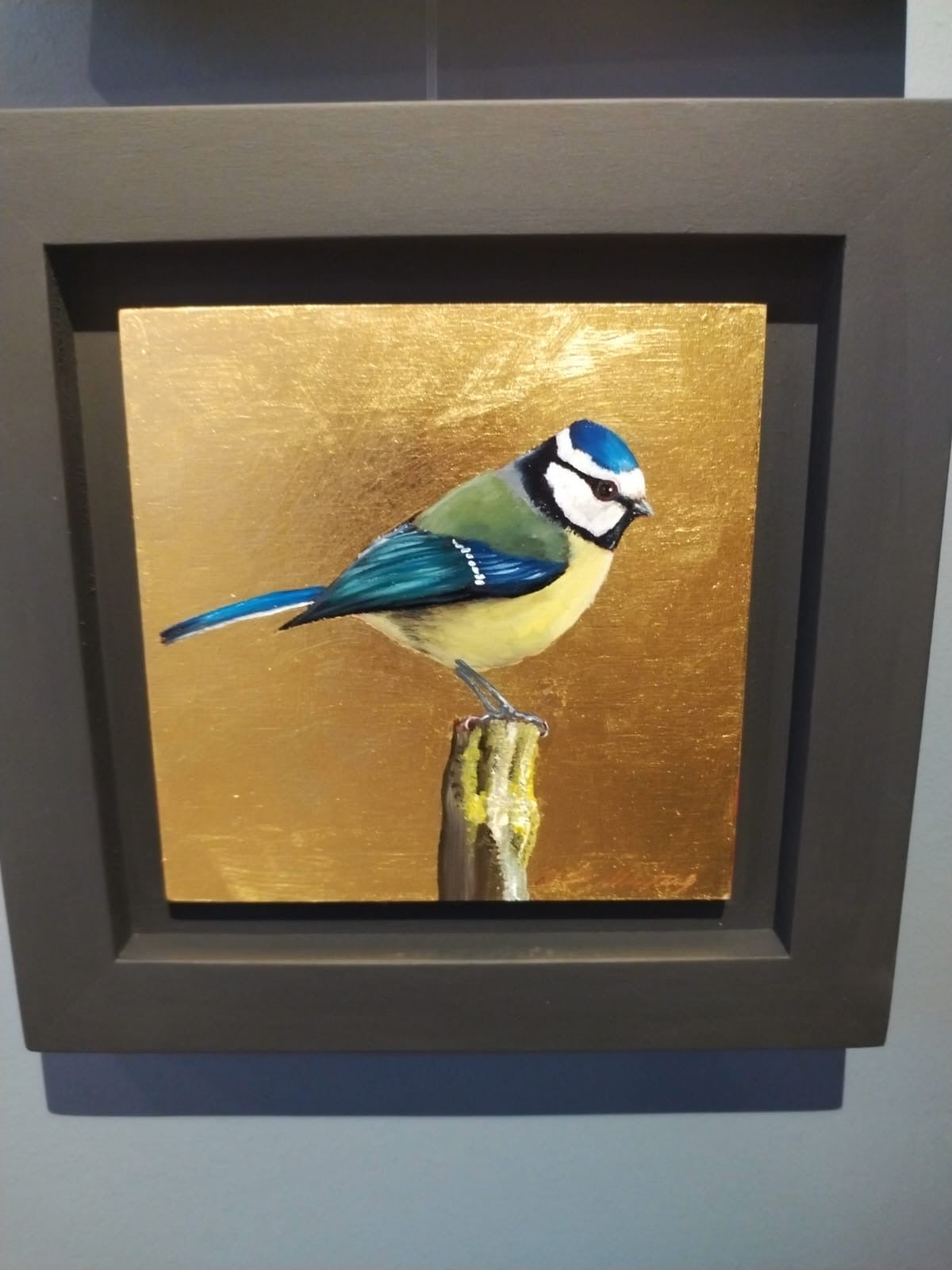 Blue Tit    - BM 02 / 12