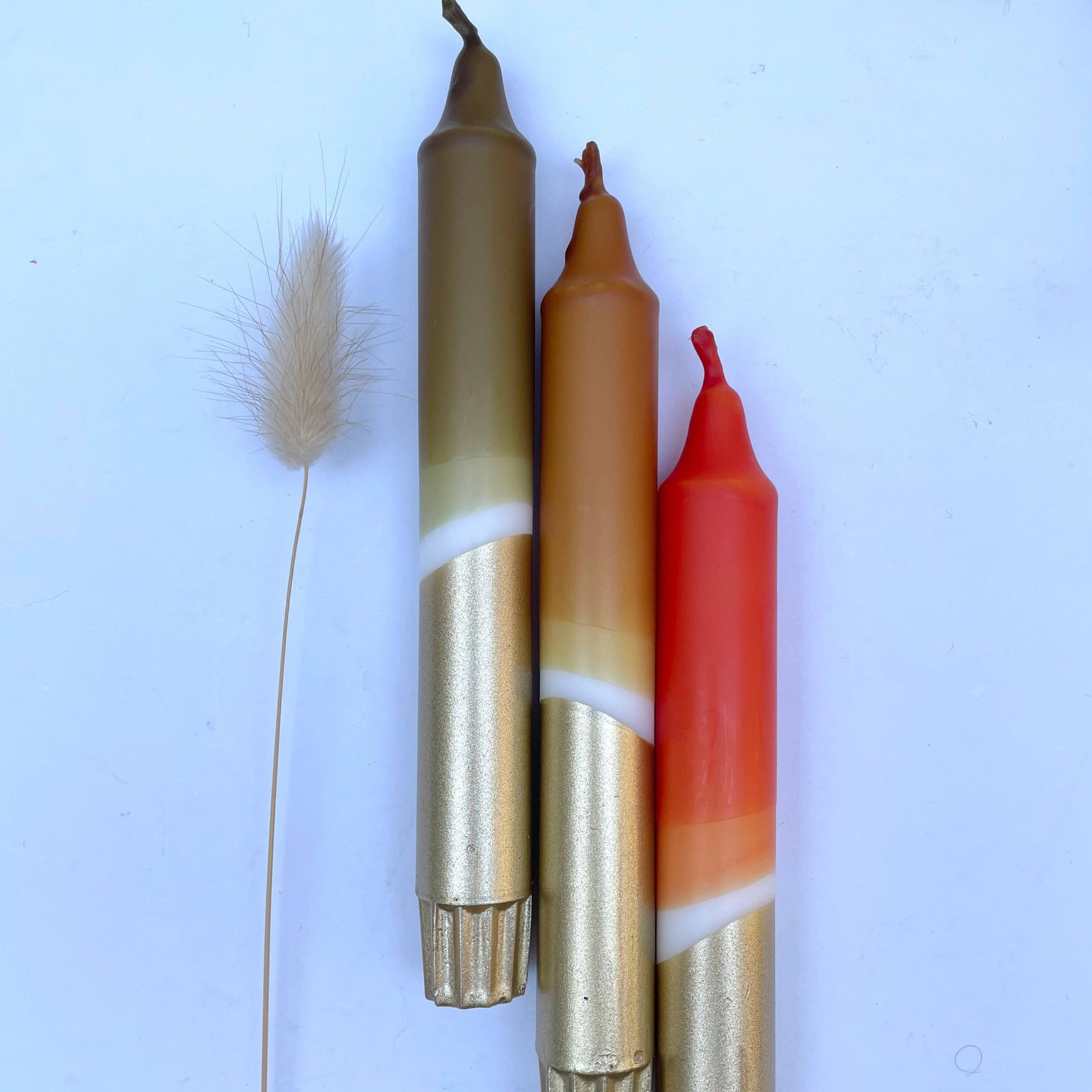 Three lip pencils in gold, brown, and red on a light blue background with a grass-like plant.