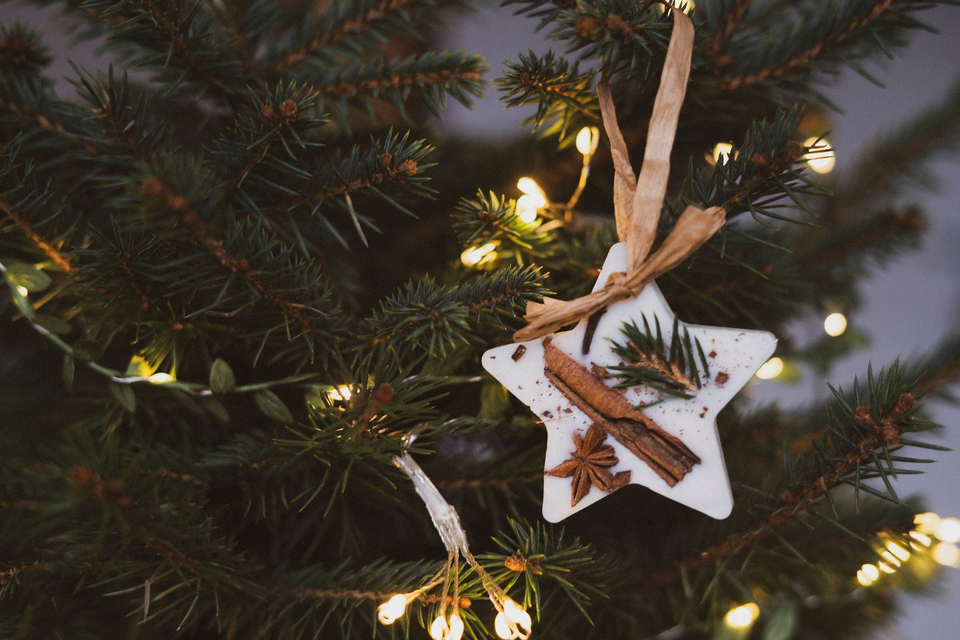 Cranberry, Orange and Cinnamon Scented Wax Star Decoration