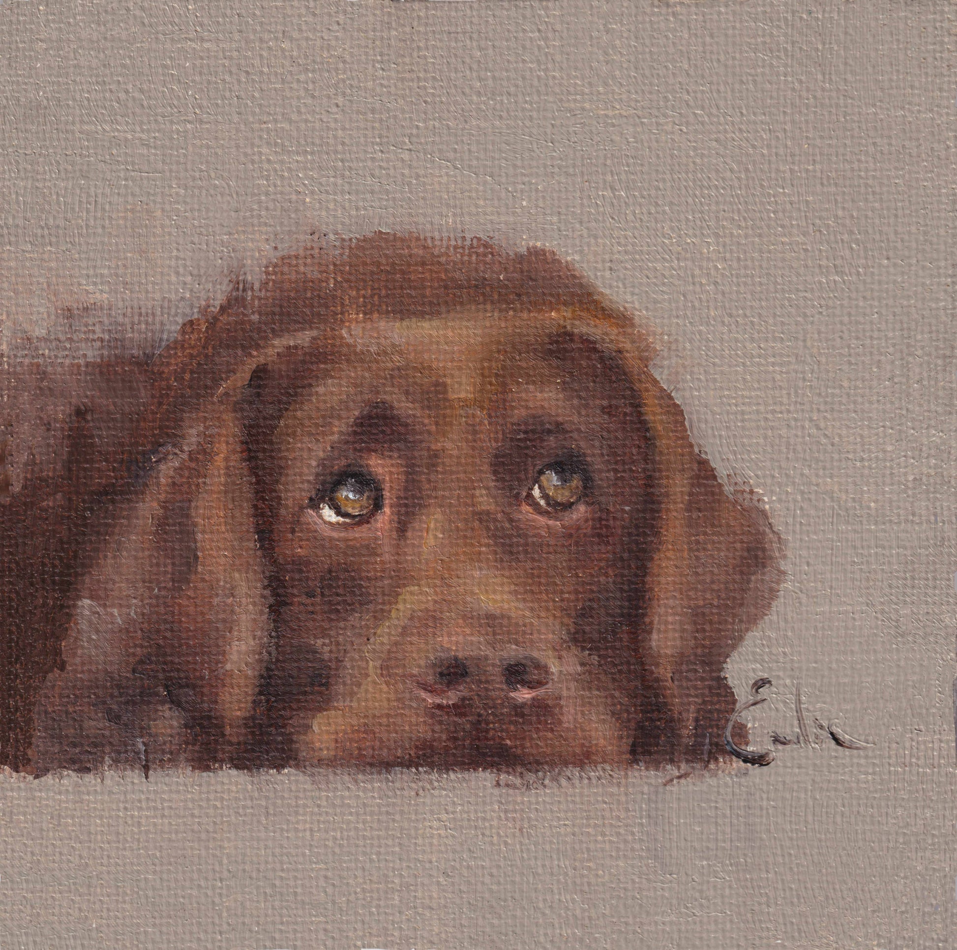Chocolate Labrador Greetings Card 6 x 6 by Emeline Watchorn