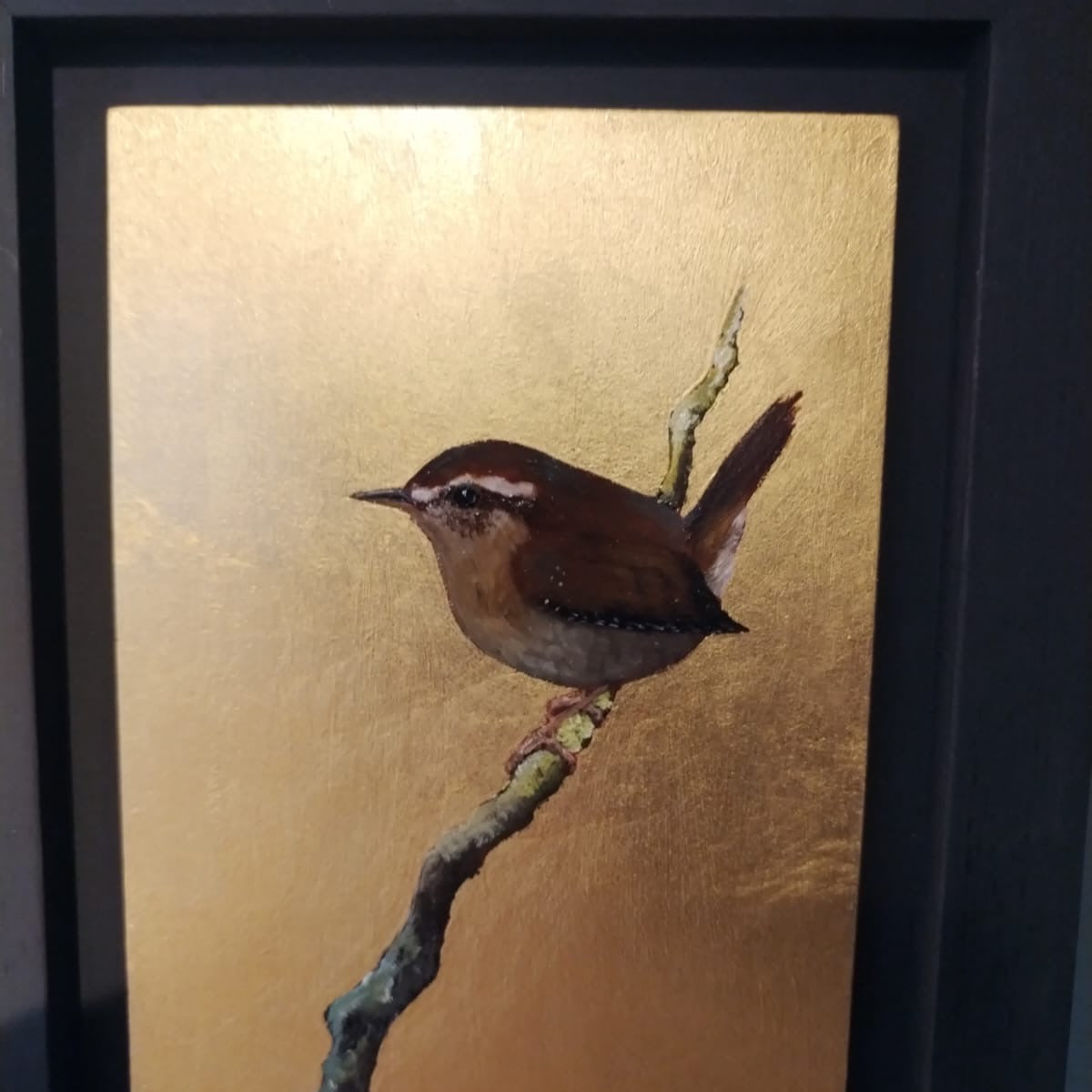 Golden Wren    - BM 10 / 12
