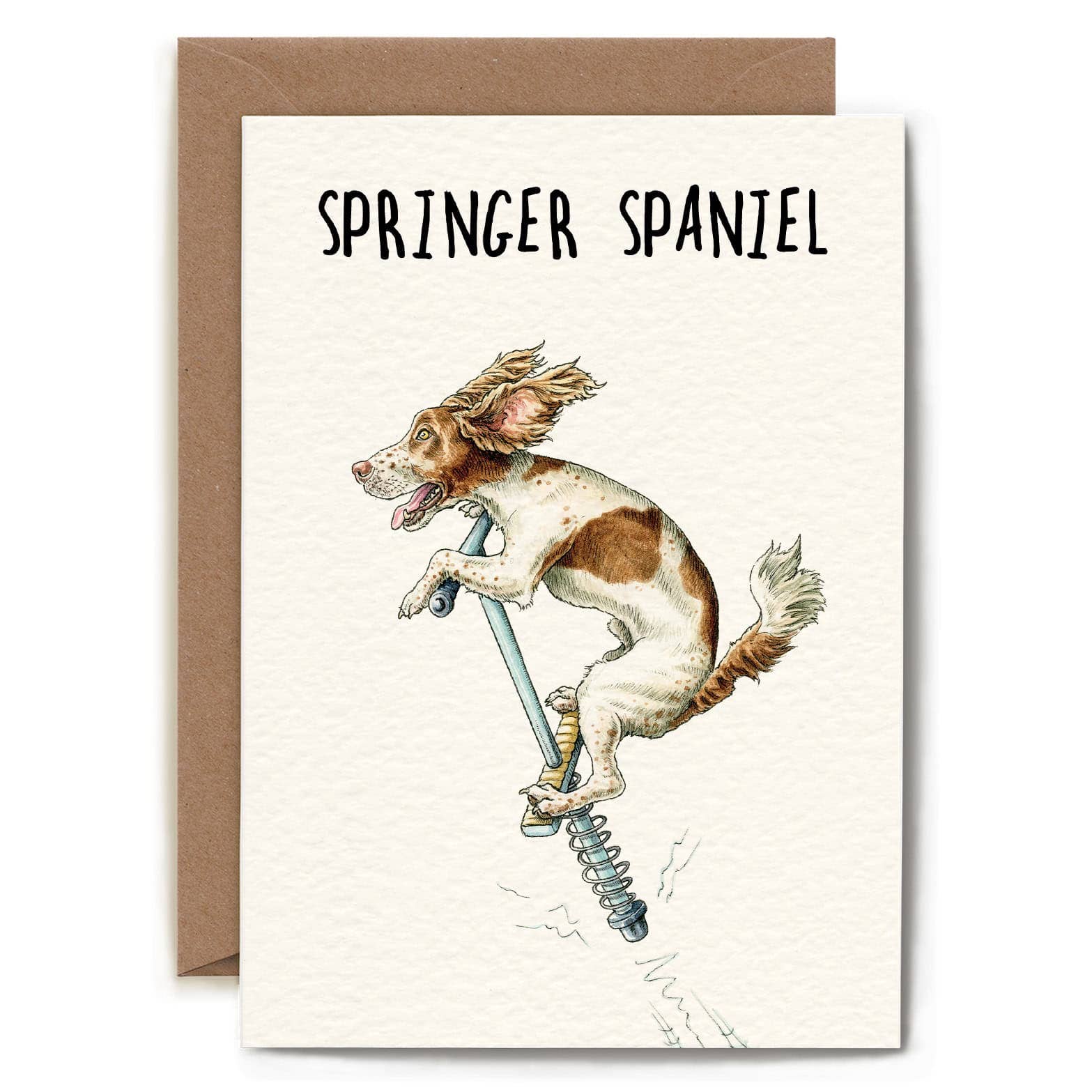 Springer Spaniel Funny Greetings Card