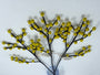 Decorative branch with yellow berries on a white background
