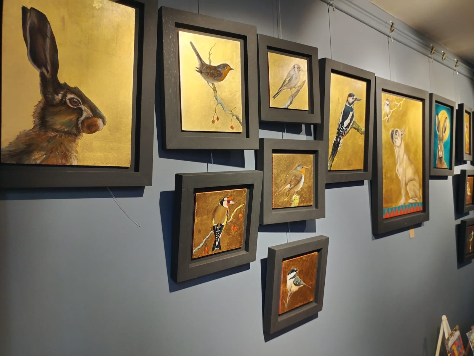 Golden Wren    - BM 10 / 12