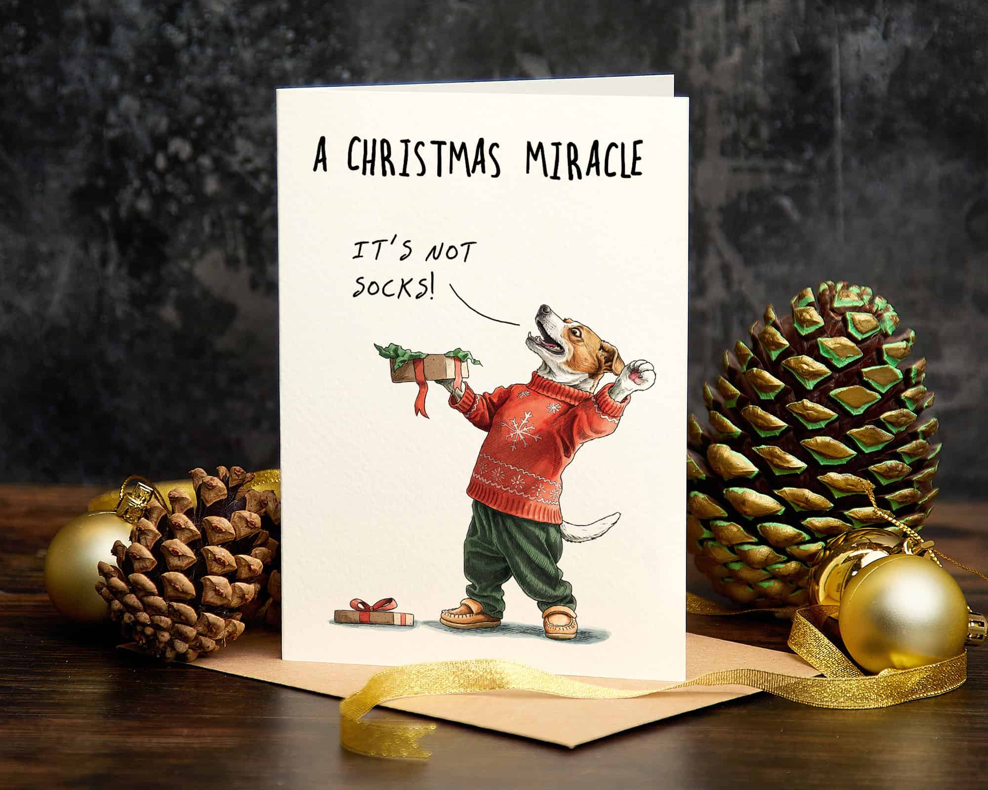 Christmas Miracle Socks Funny Dog Christmas Card