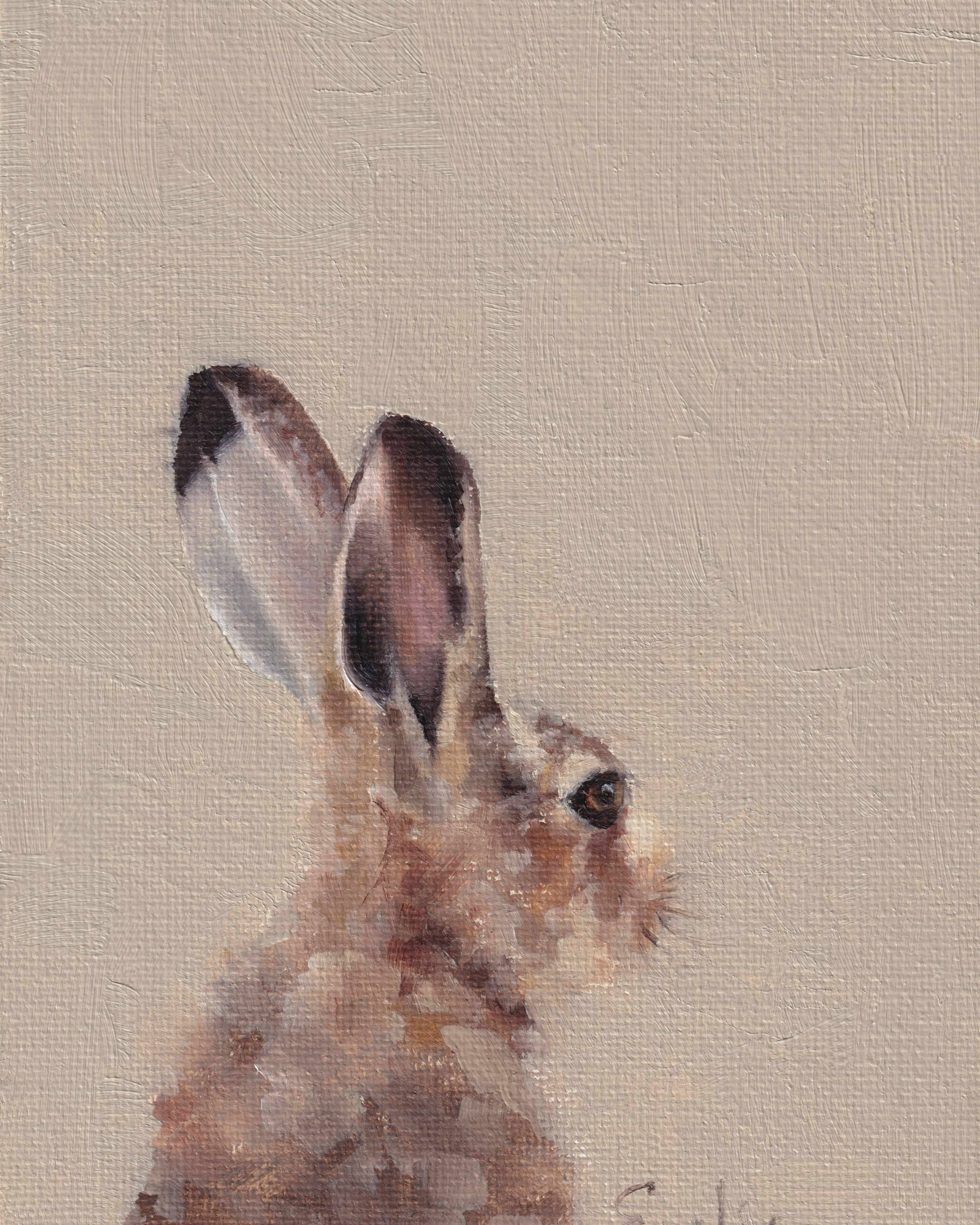 Quiet Brown Hare Greetings Card 6 x 4 by Emeline Watchorn