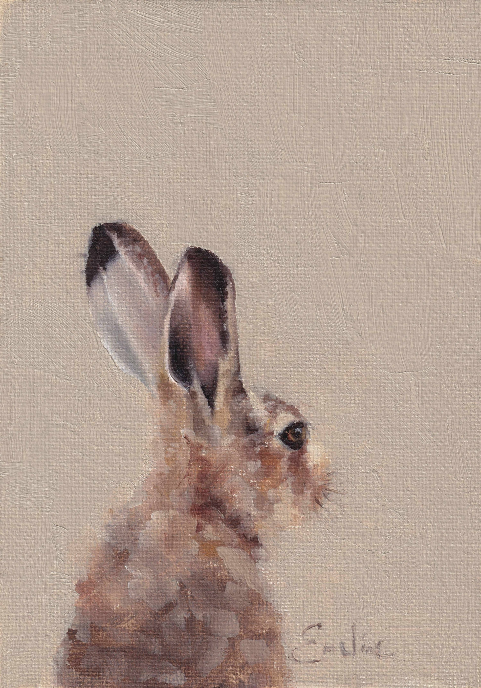 Quiet Brown Hare Greetings Card 6 x 4 by Emeline Watchorn