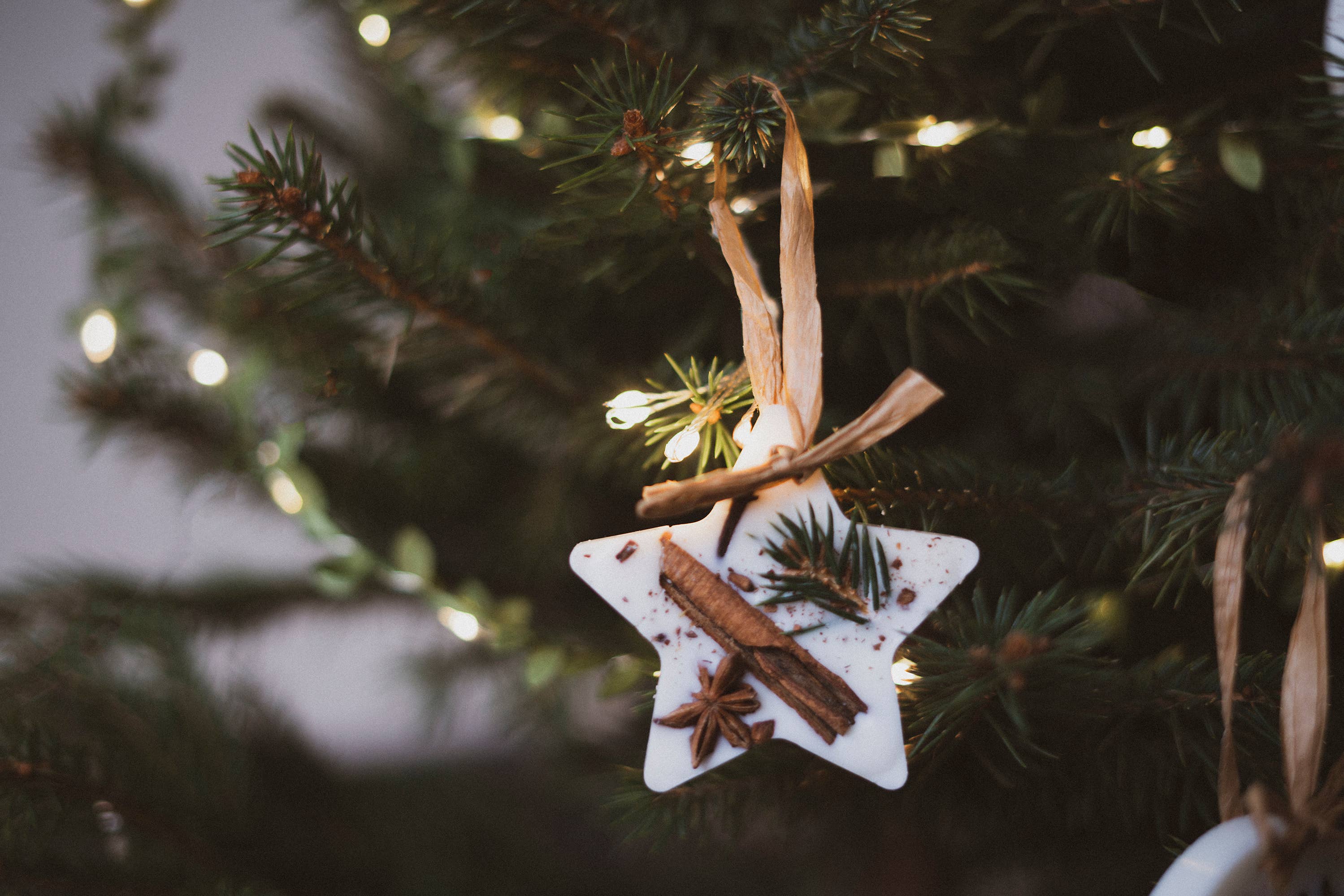 Christmas Tree Scented Wax Star Decoration
