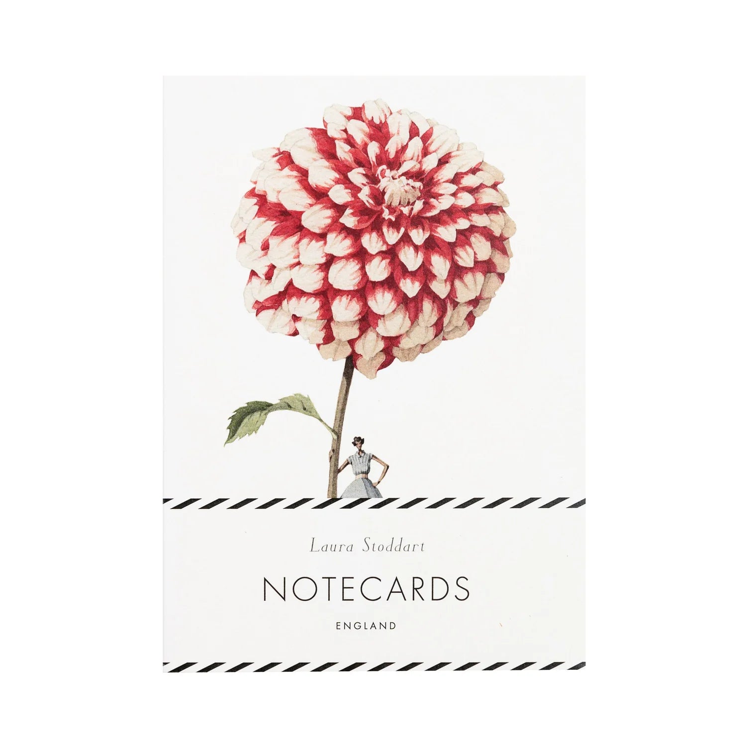 Laura Stoddart In Bloom Dahlias Boxed Notecard Set
