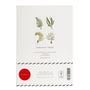 Pack of illustrated notecards with fern designs on a white background