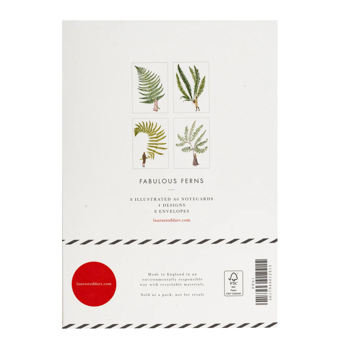Pack of illustrated notecards with fern designs on a white background