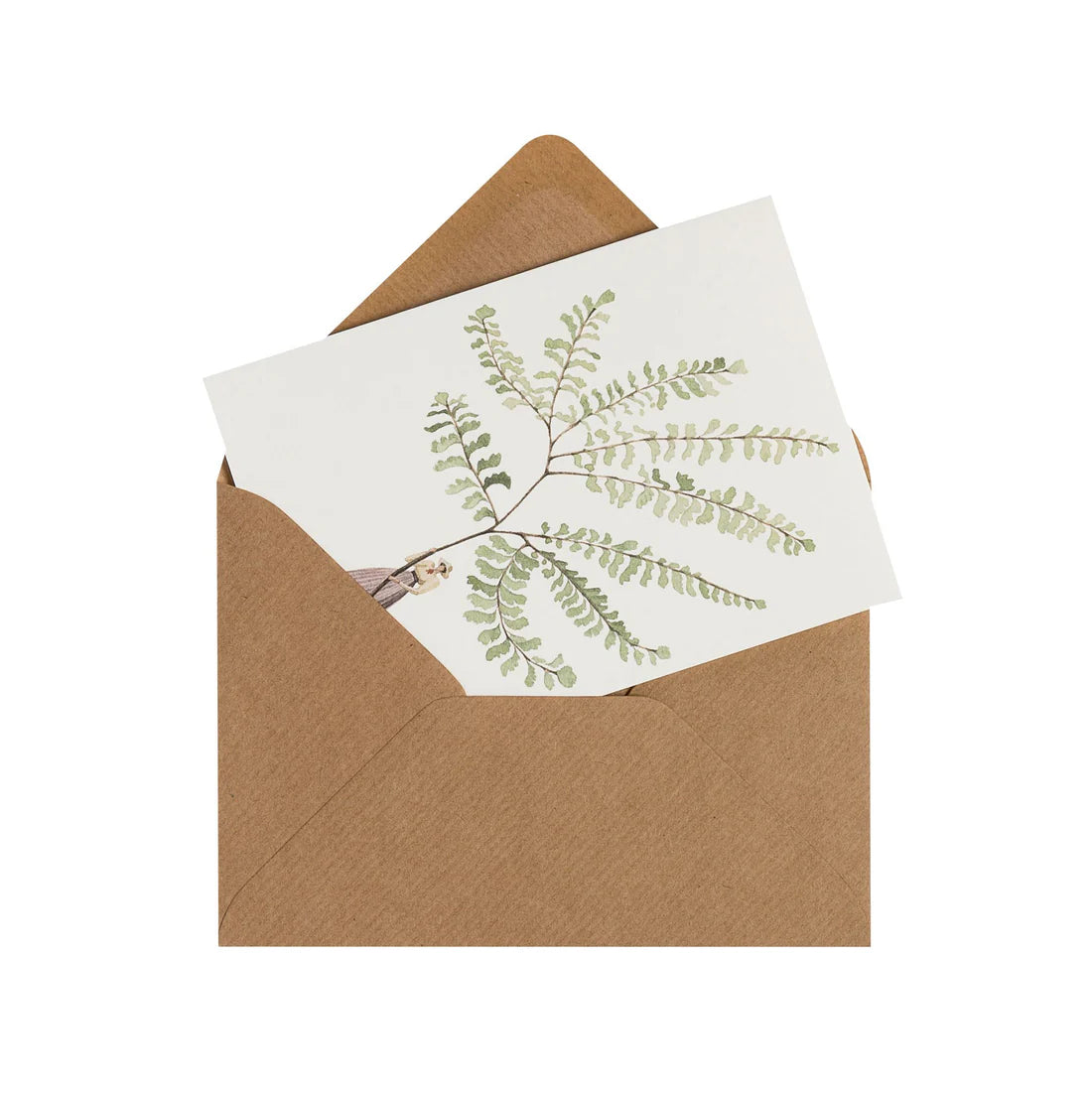Brown envelope with a white card featuring green leaf design on a white background