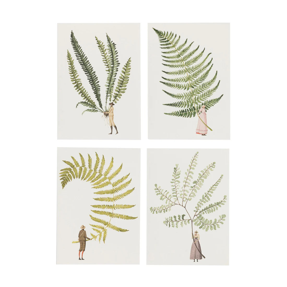 Four prints with fern illustrations and small figures on a white background