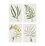 Four prints with fern illustrations and small figures on a white background