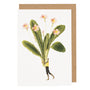 Greeting card with illustration of a person holding large green leaves with pink flowers on a white background.