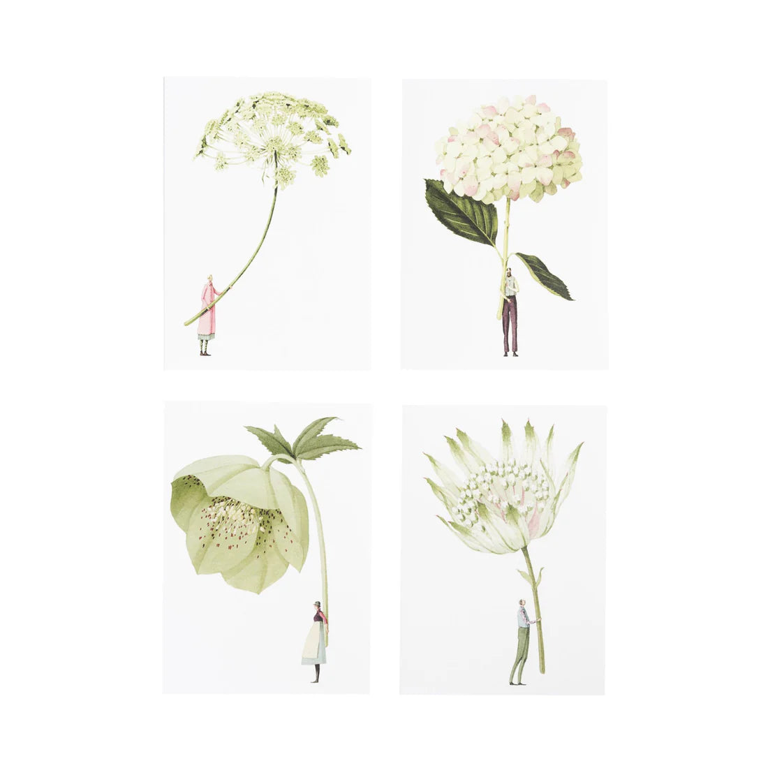 Illustrations of flowers with small figures inside on a white background