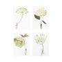 Illustrations of flowers with small figures inside on a white background