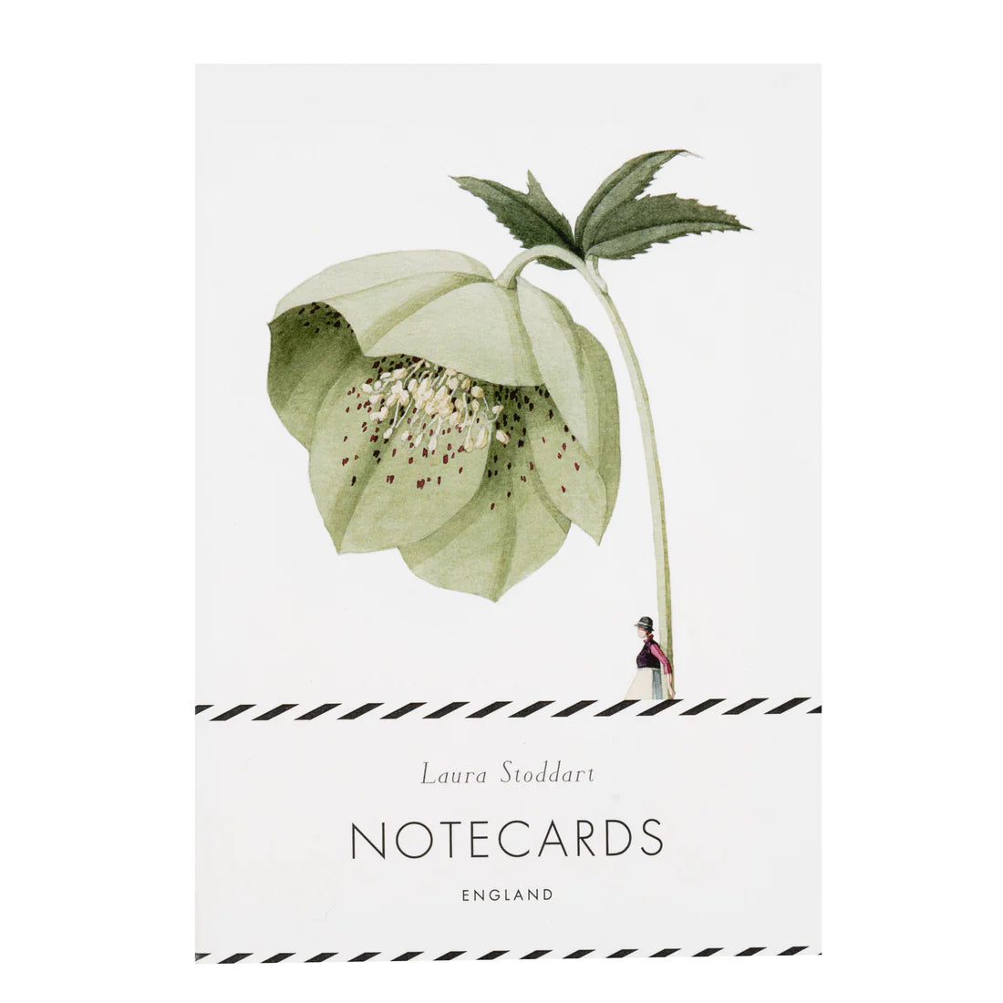 Notecard packaging with a green flower illustration and 'Laura Studdart Notecards England' text.