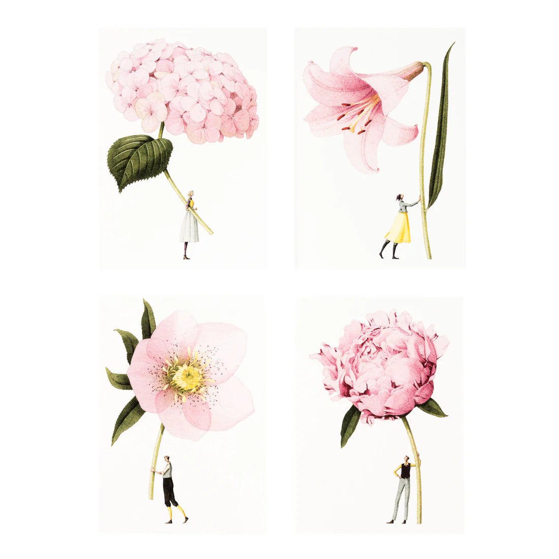 Illustration of small people standing next to large pink flowers on a white background