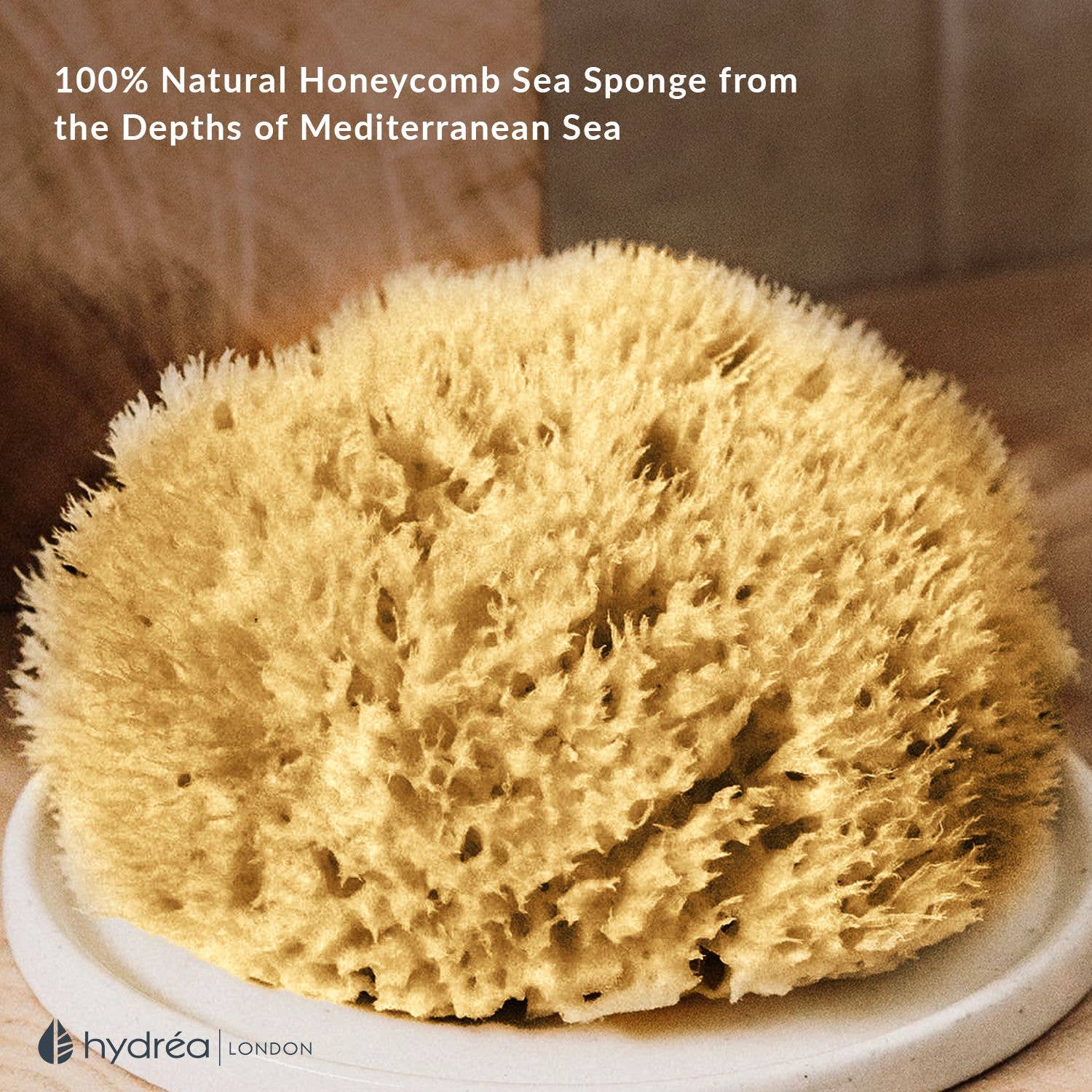 Natural Honeycomb Sea Sponge 5–5.5 Inch Mediterranean