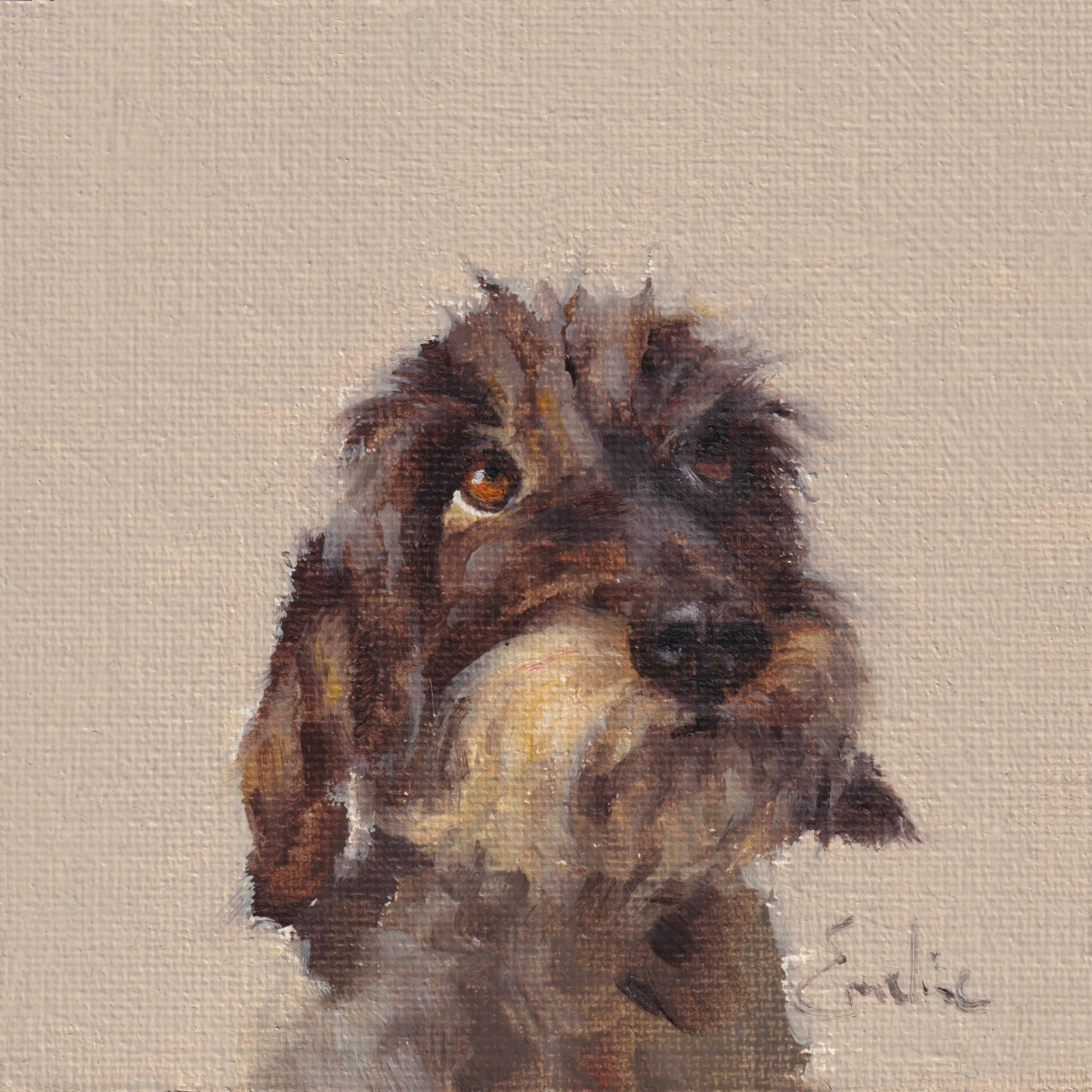 Freddie Wire Haired Dachshund Greetings Card 4 x 4 by Emeline Watchorn