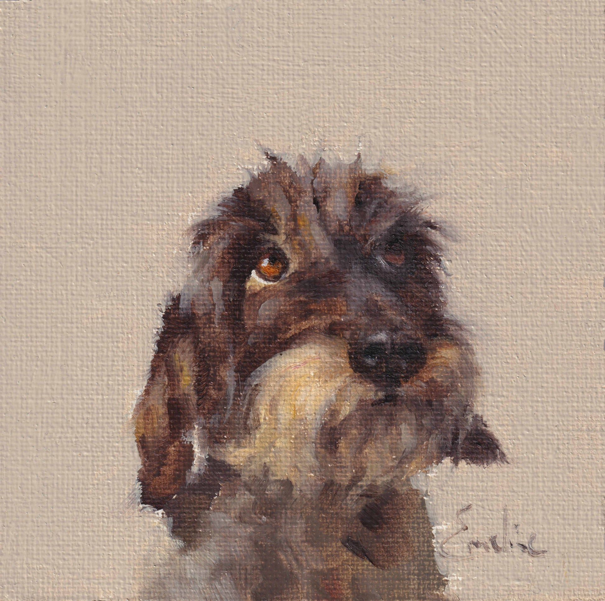 Freddie Wire Haired Dachshund Greetings Card 4 x 4 by Emeline Watchorn