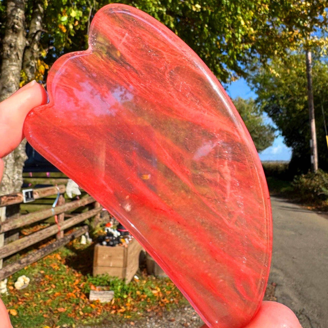 Red butterfly wing held up with a rural background