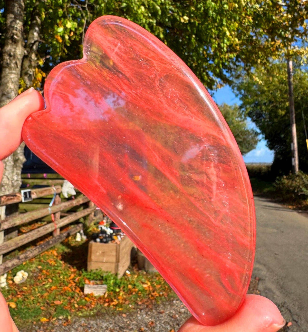 Red butterfly wing held up with a rural background