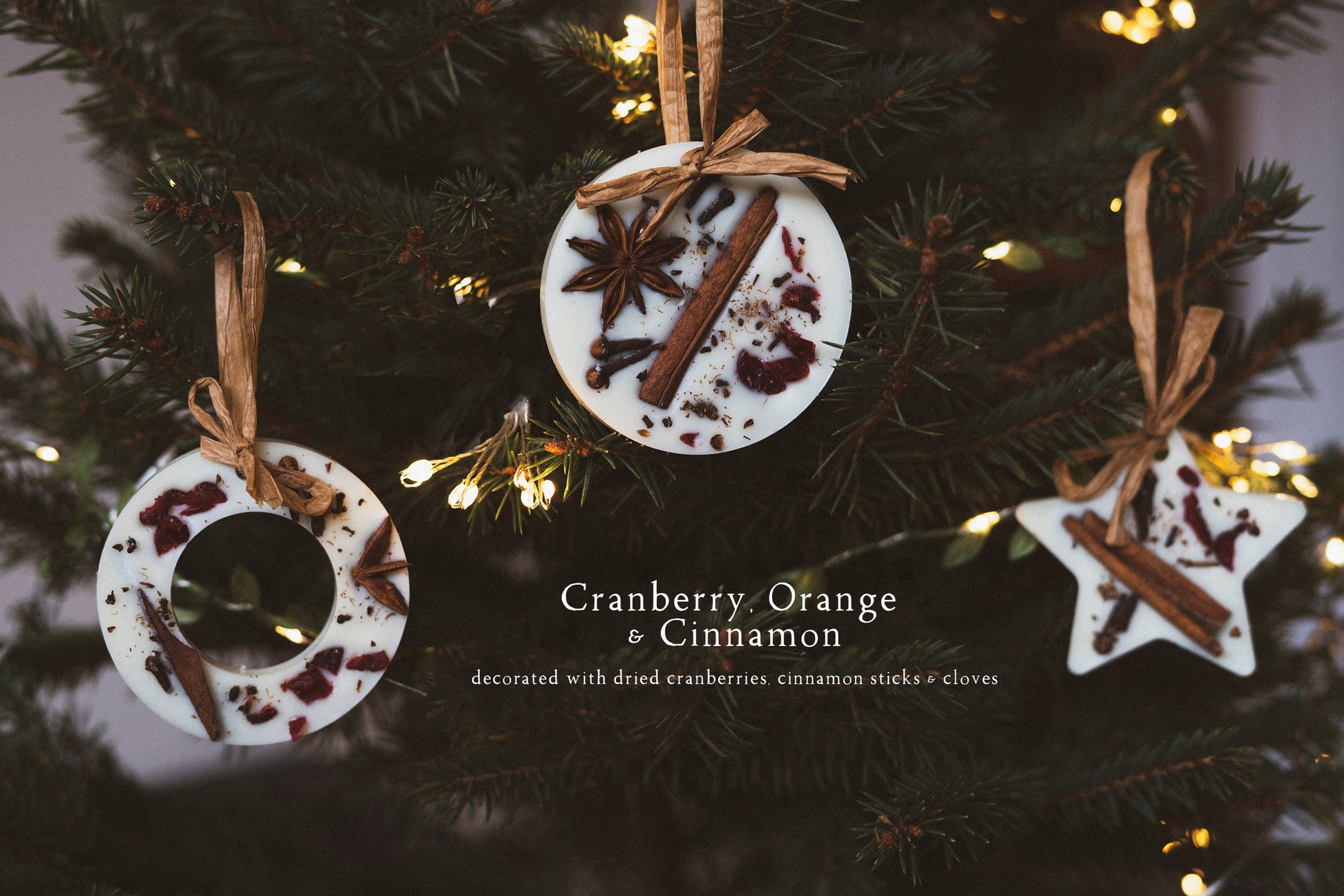 Cranberry, Orange and Cinnamon Scented Wax Star Decoration