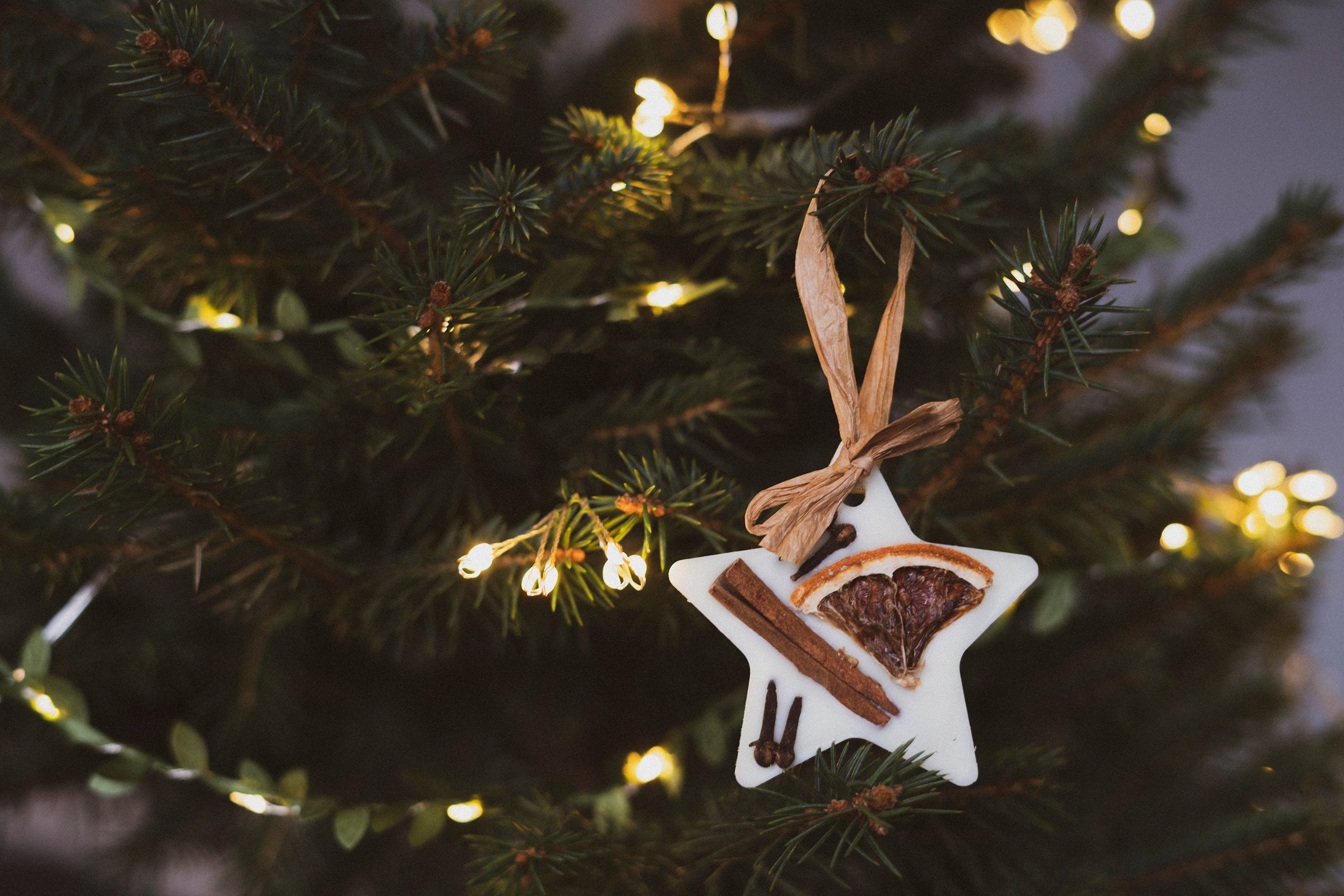Christmas Scented Tree Decorations: Clementine & Clove / Star