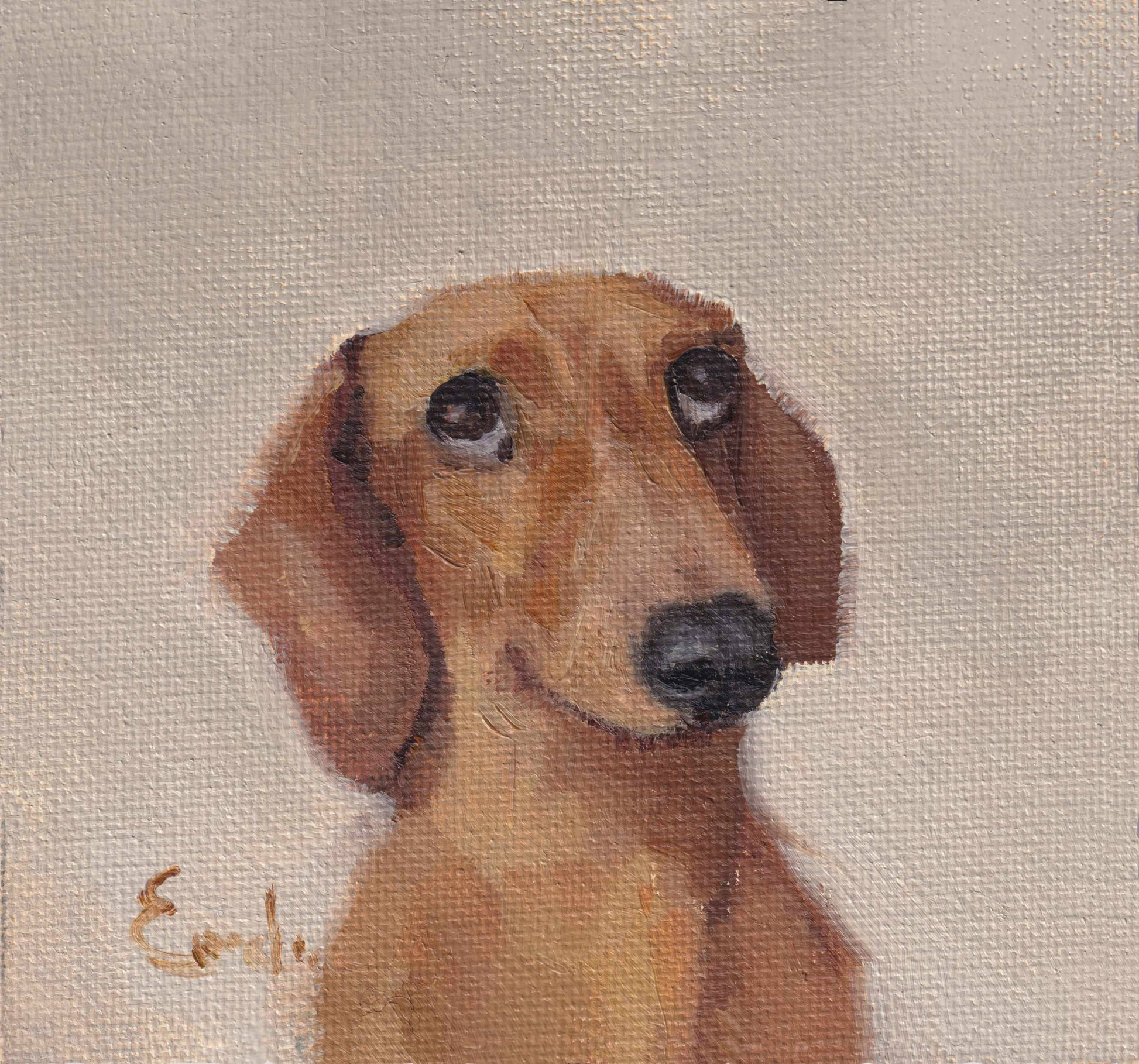 Guilty Dachshund Greetings Card 4 x 4 by Emeline Watchorn