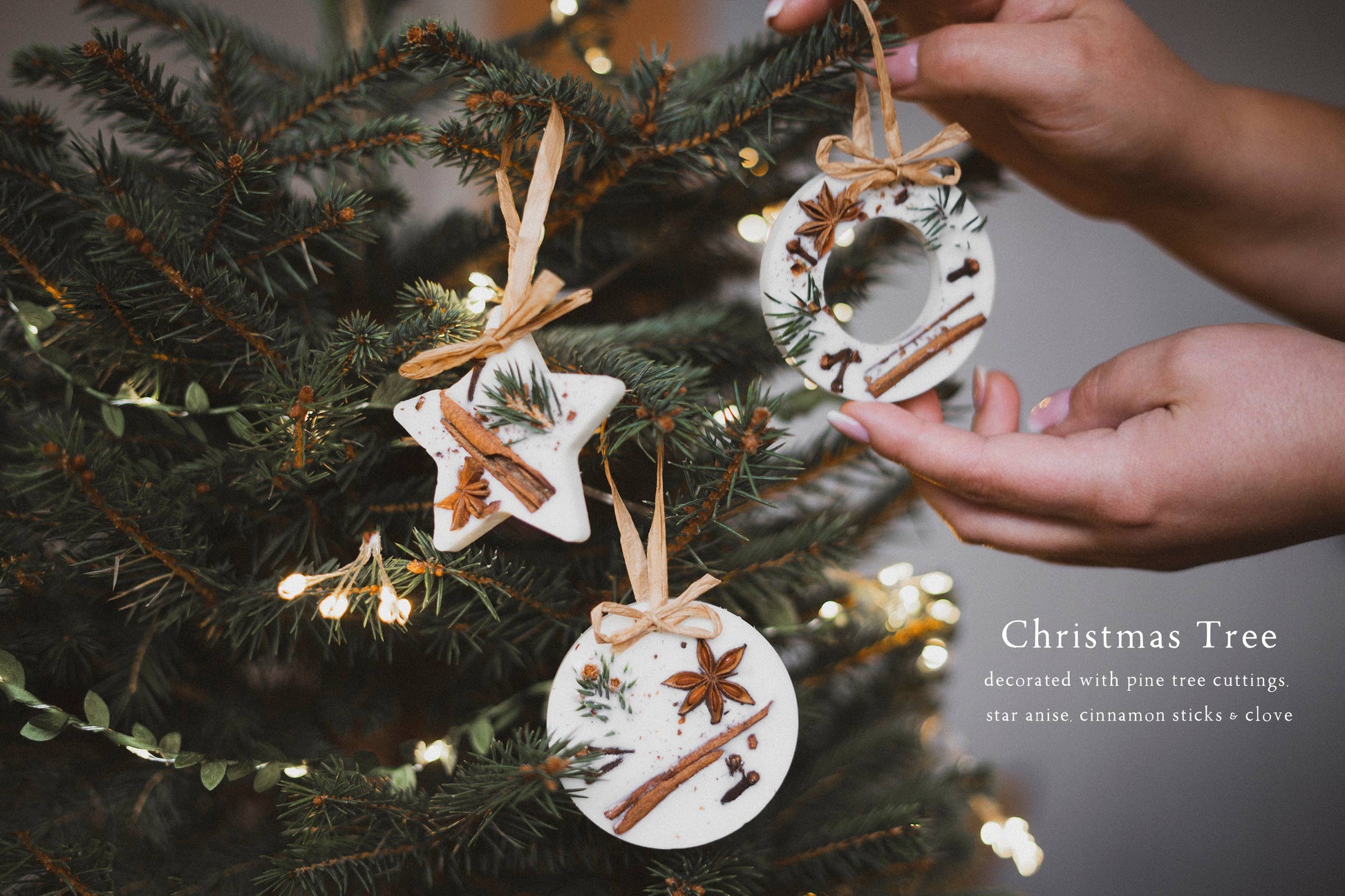 Christmas Tree Scented Wax Star Decoration