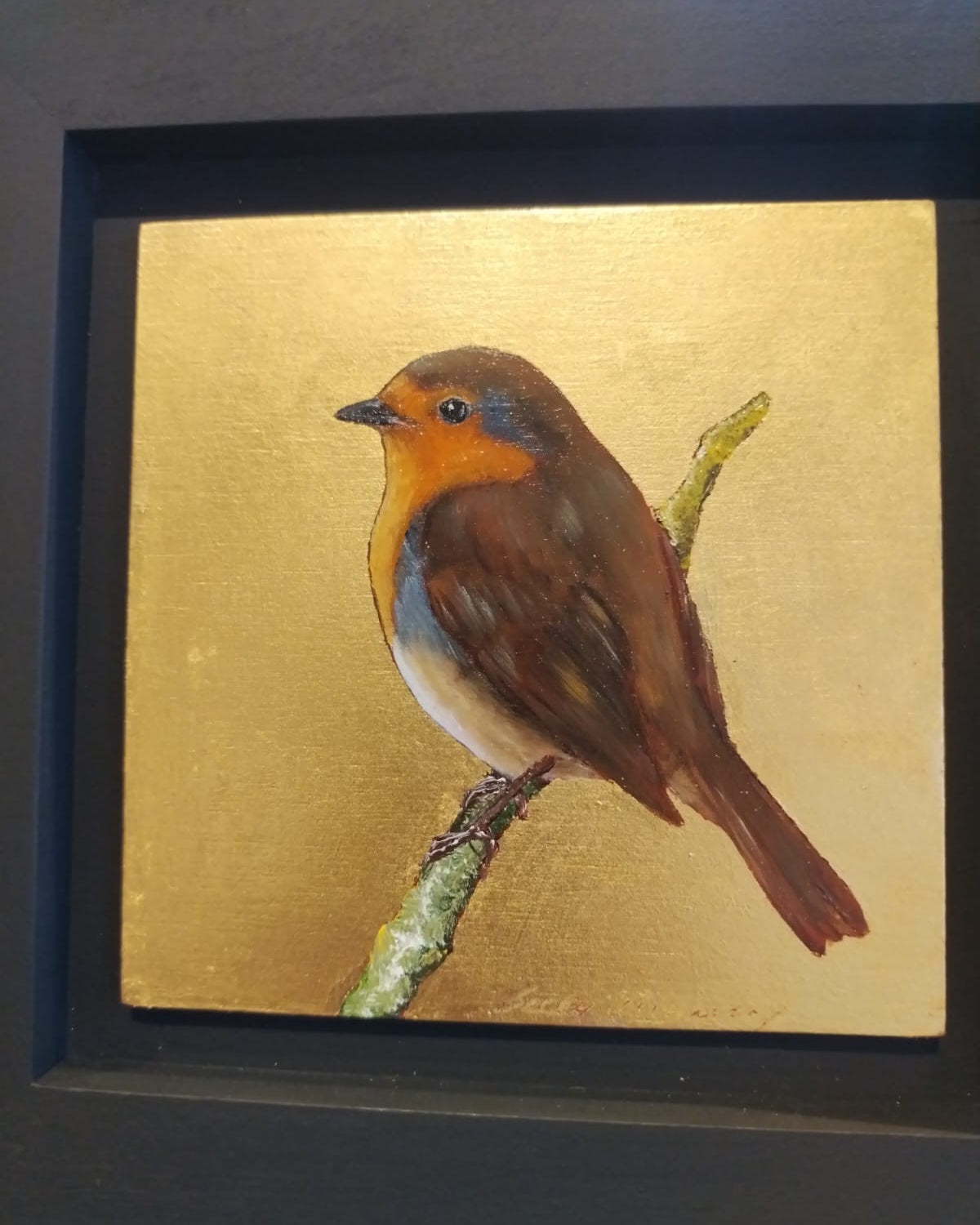 Little Robin   - BM 16 / 12