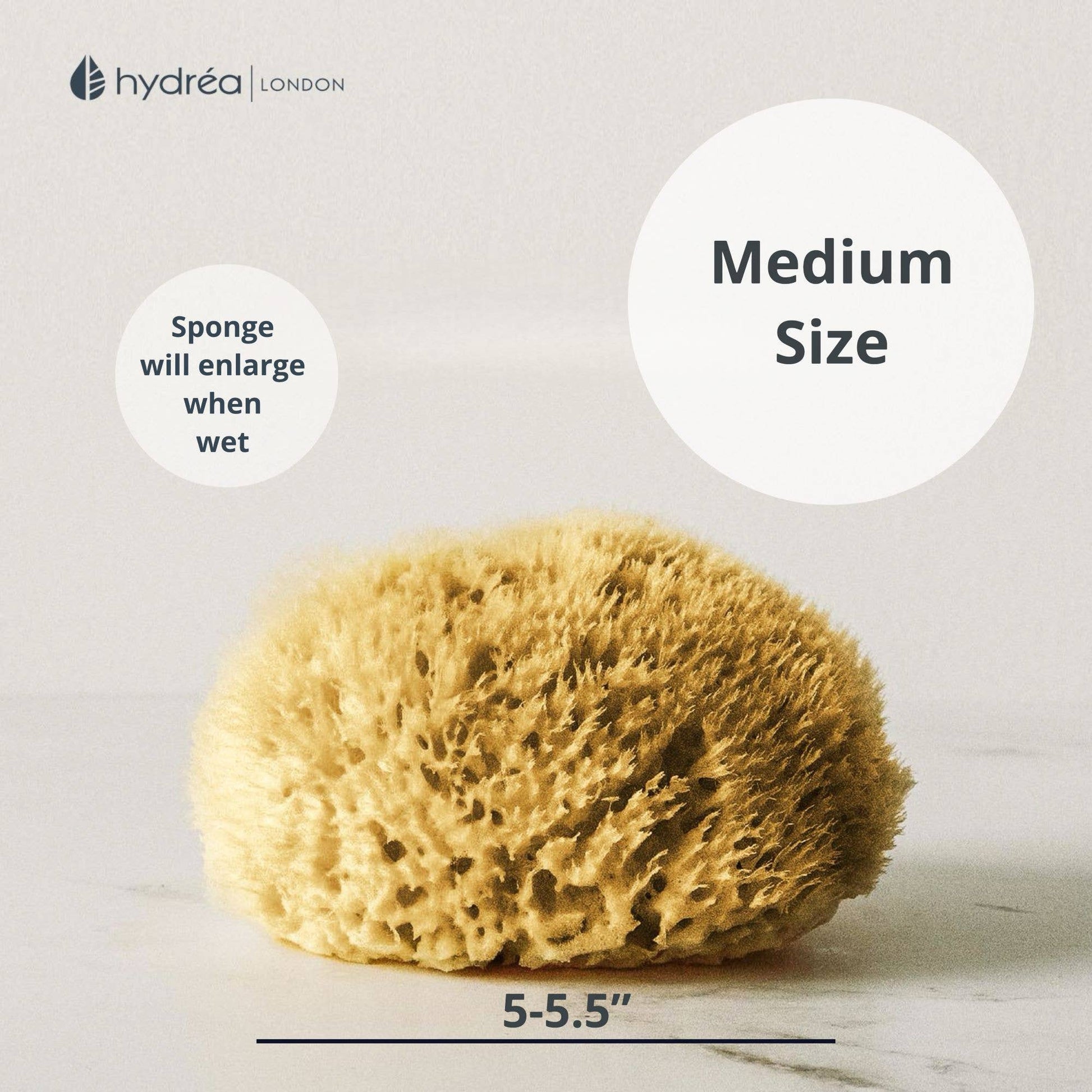 Natural Honeycomb Sea Sponge 5–5.5 Inch Mediterranean