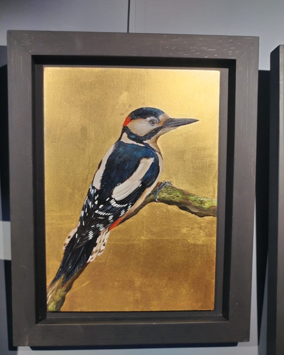 Spotted Woodpecker - BM 12 / 12