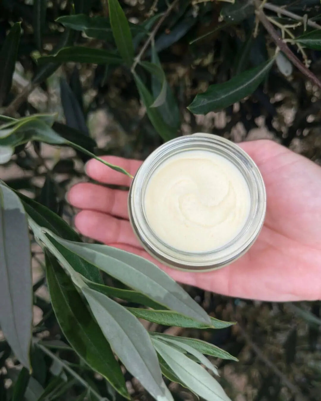 Freeda Unscented  Face & Body Balm 100ml From Salcombe Tallow