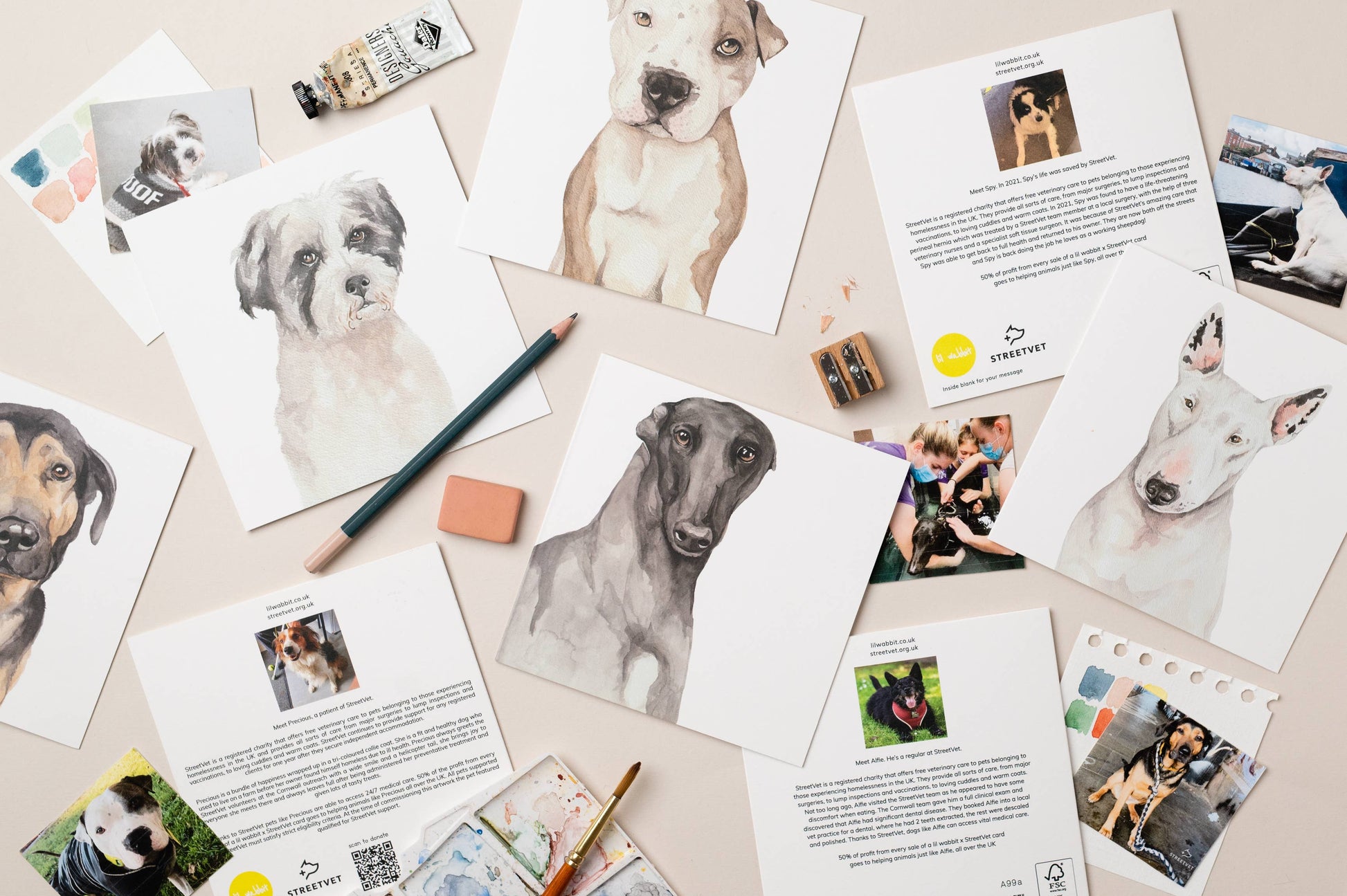 StreetVet Daisy Blank card