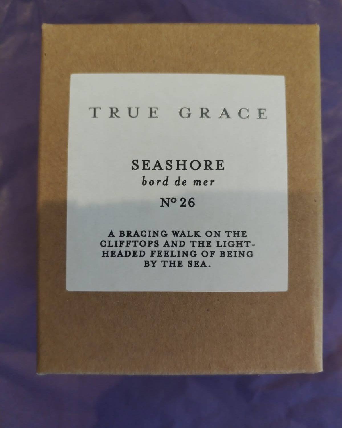 TG - Seashore - Whiskey Glass Candle