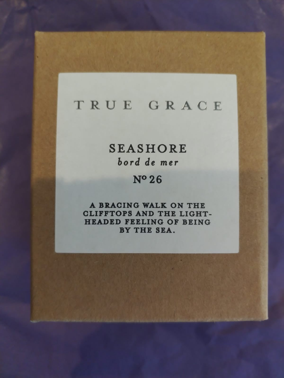 TG - Seashore - Whiskey Glass Candle